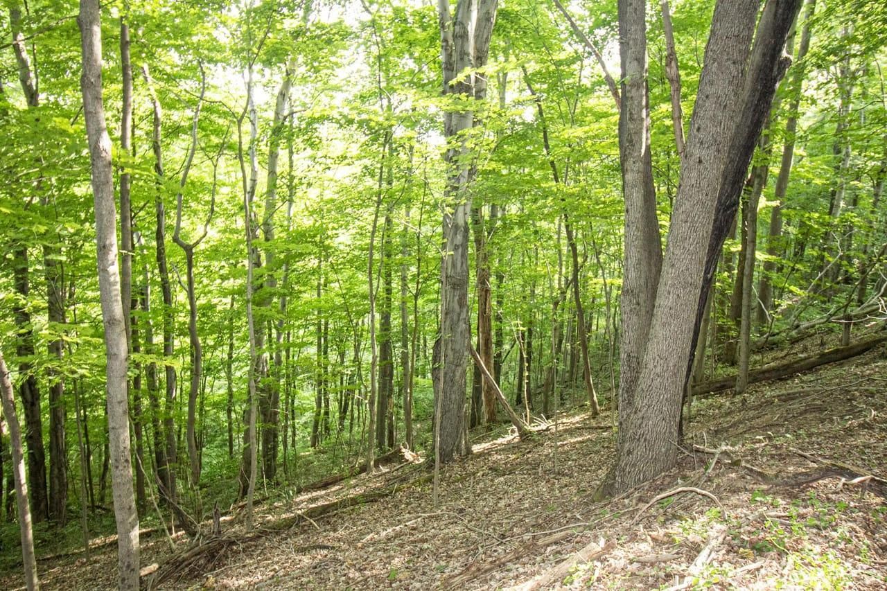 120 acres in Washington County, Ohio