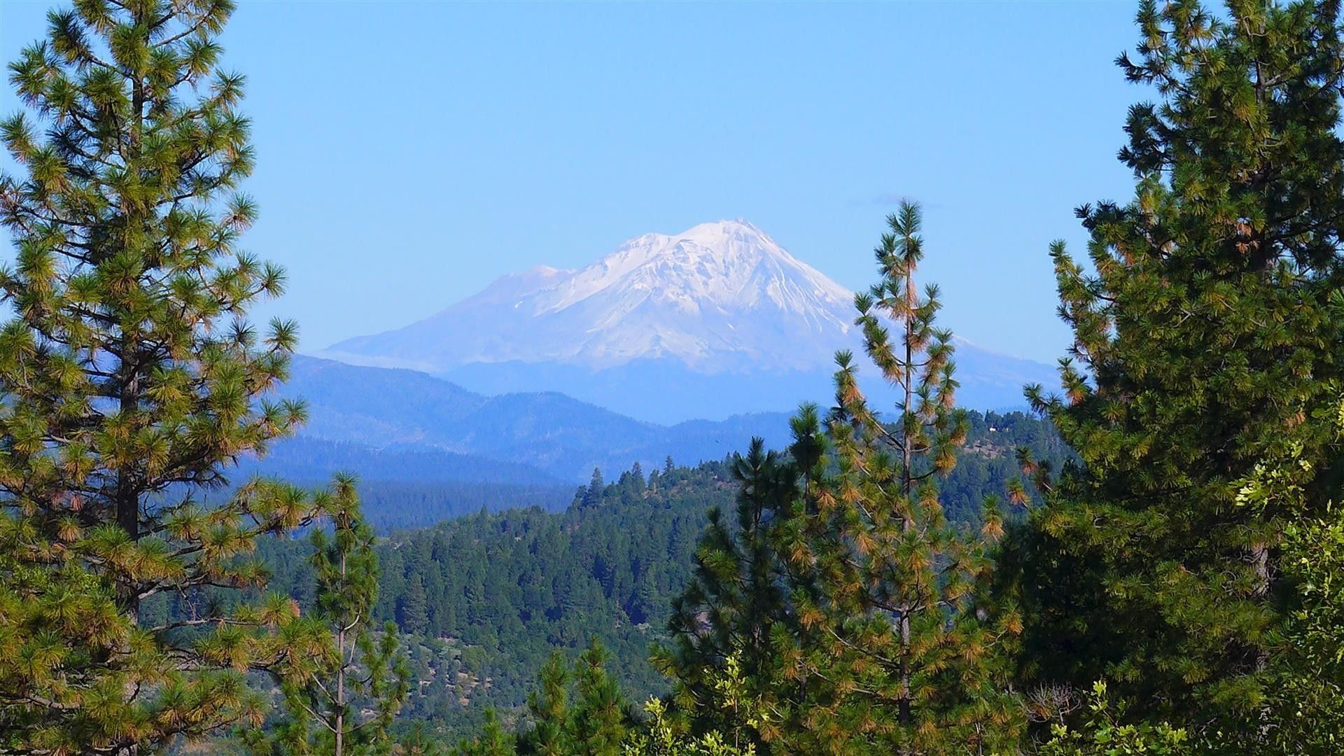 10 acres in Shasta County, California
