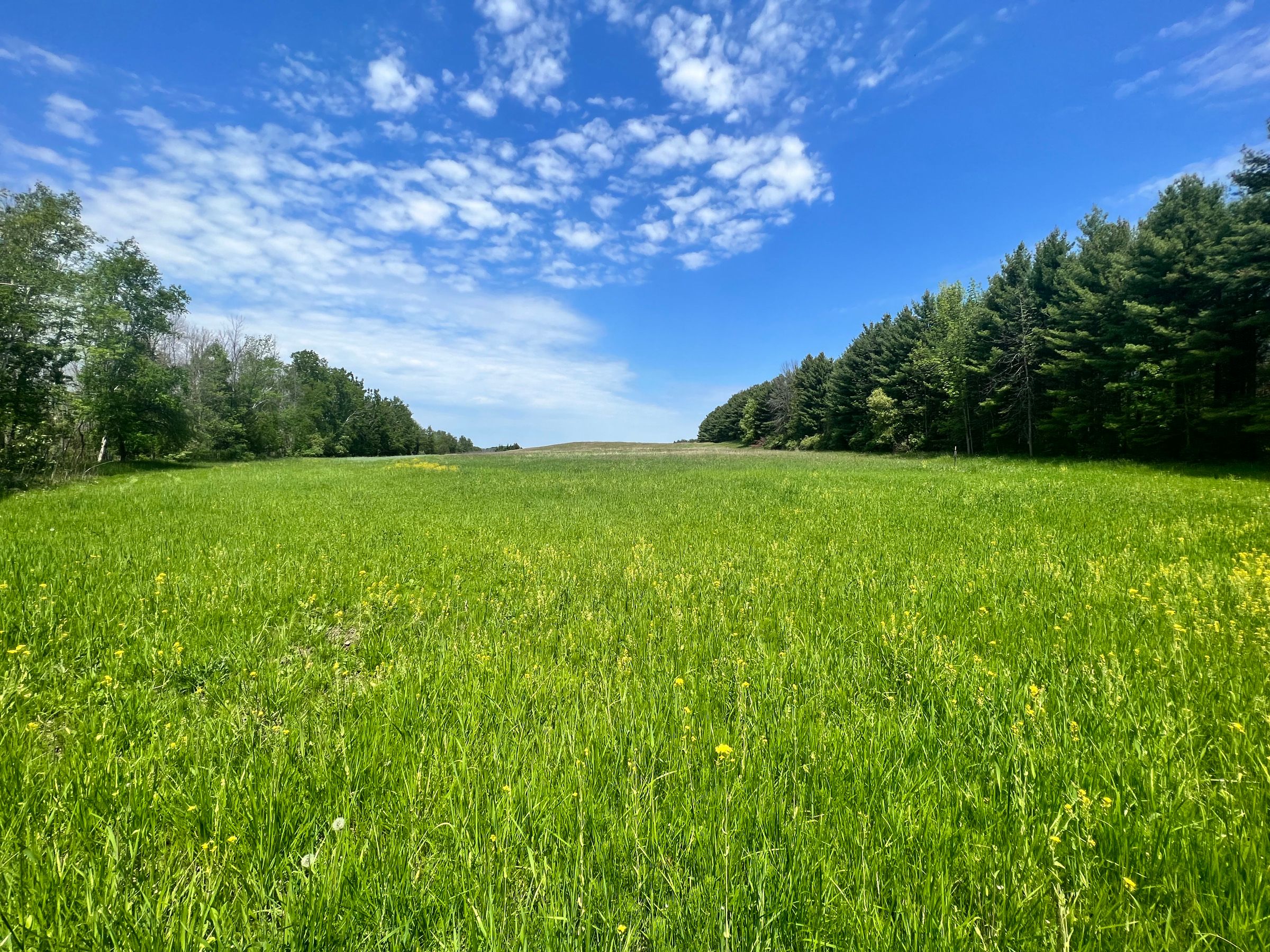 41 acres in Door County, Wisconsin