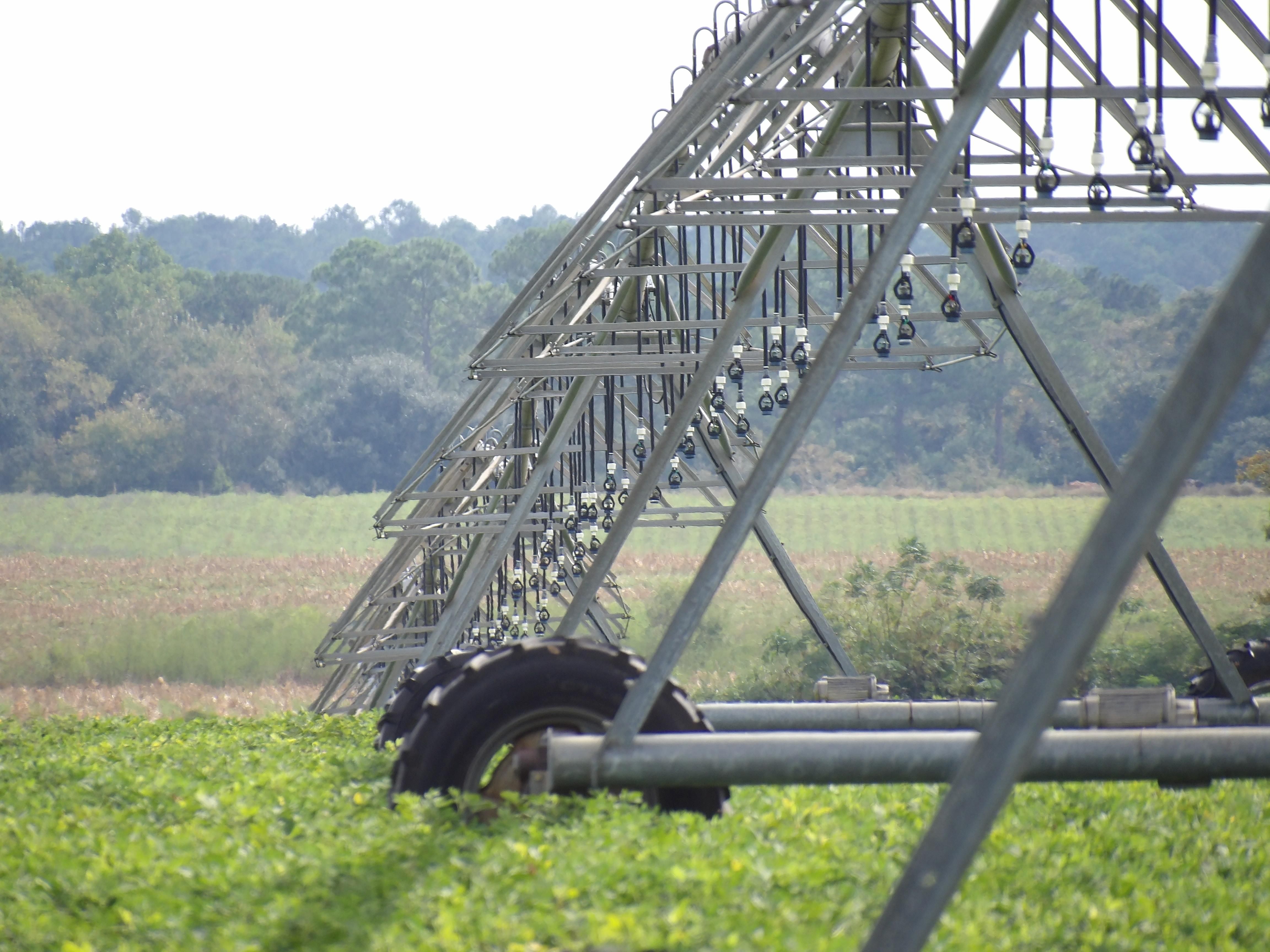 238.8 acres in Grady County,