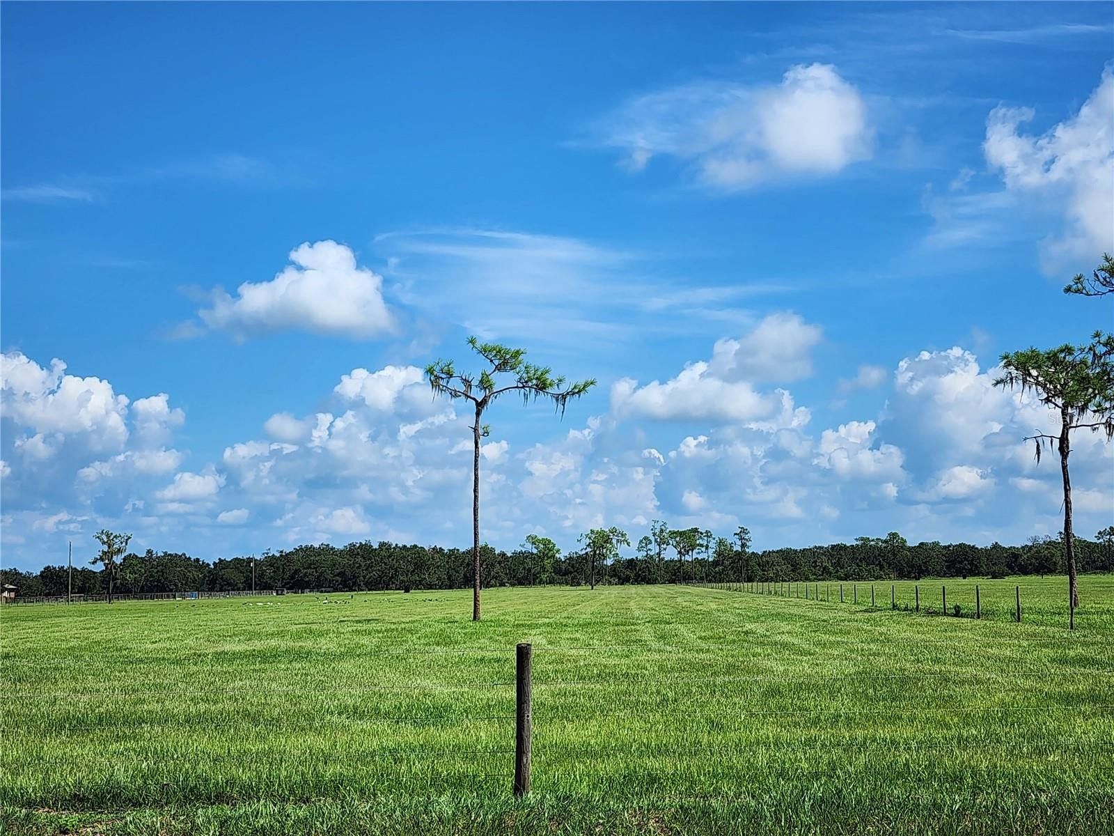 5 acres in Manatee County, Florida