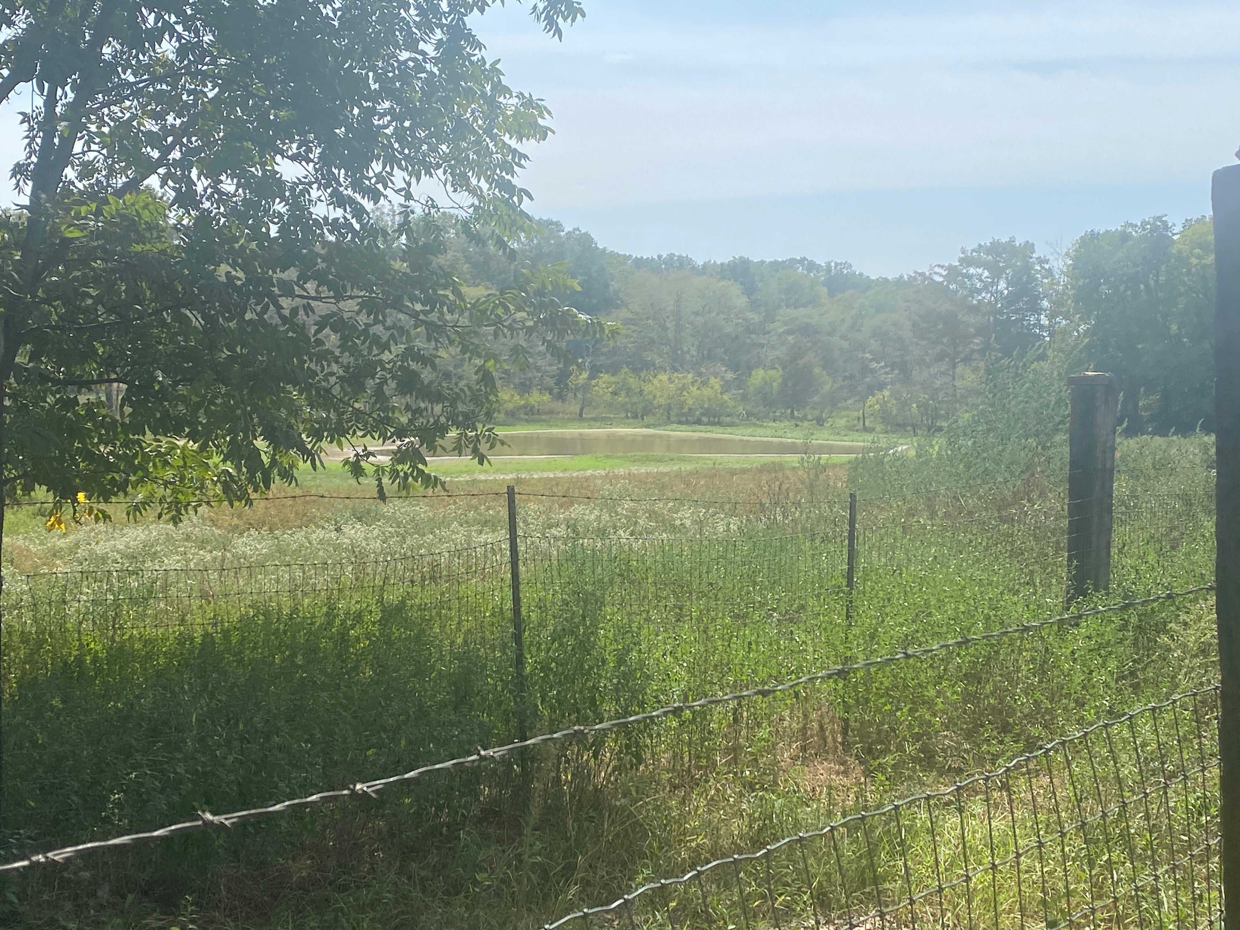 96 acres in Morehouse Parish, Louisiana