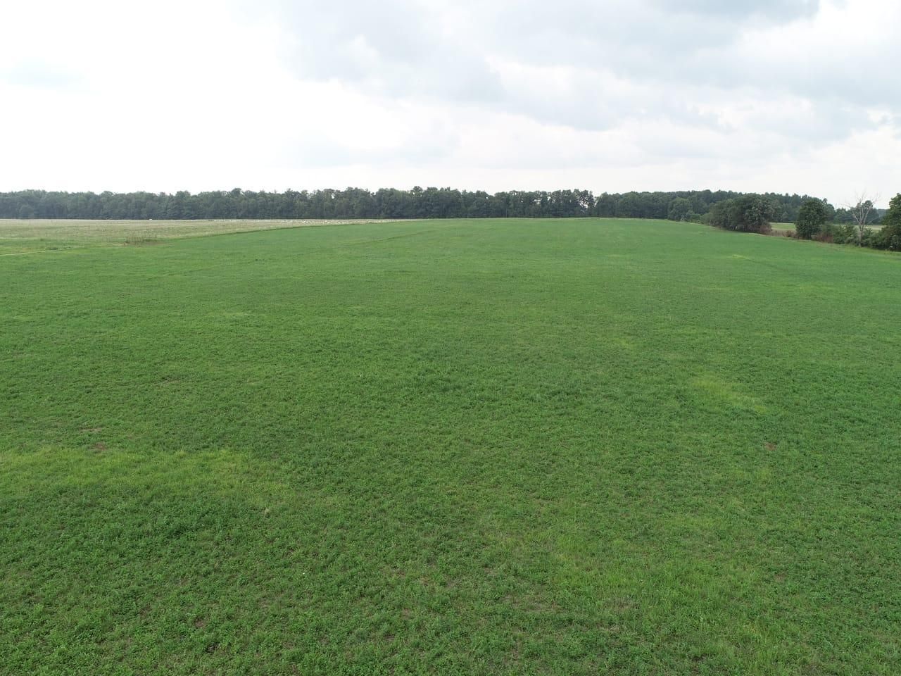41 acres in DeKalb County, Indiana