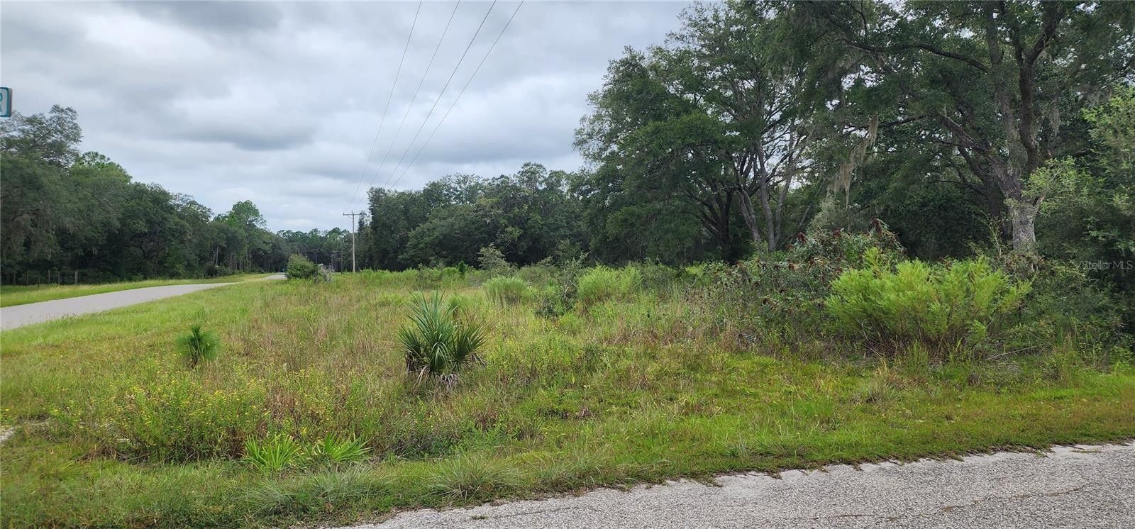 1 acres in Levy County, Florida