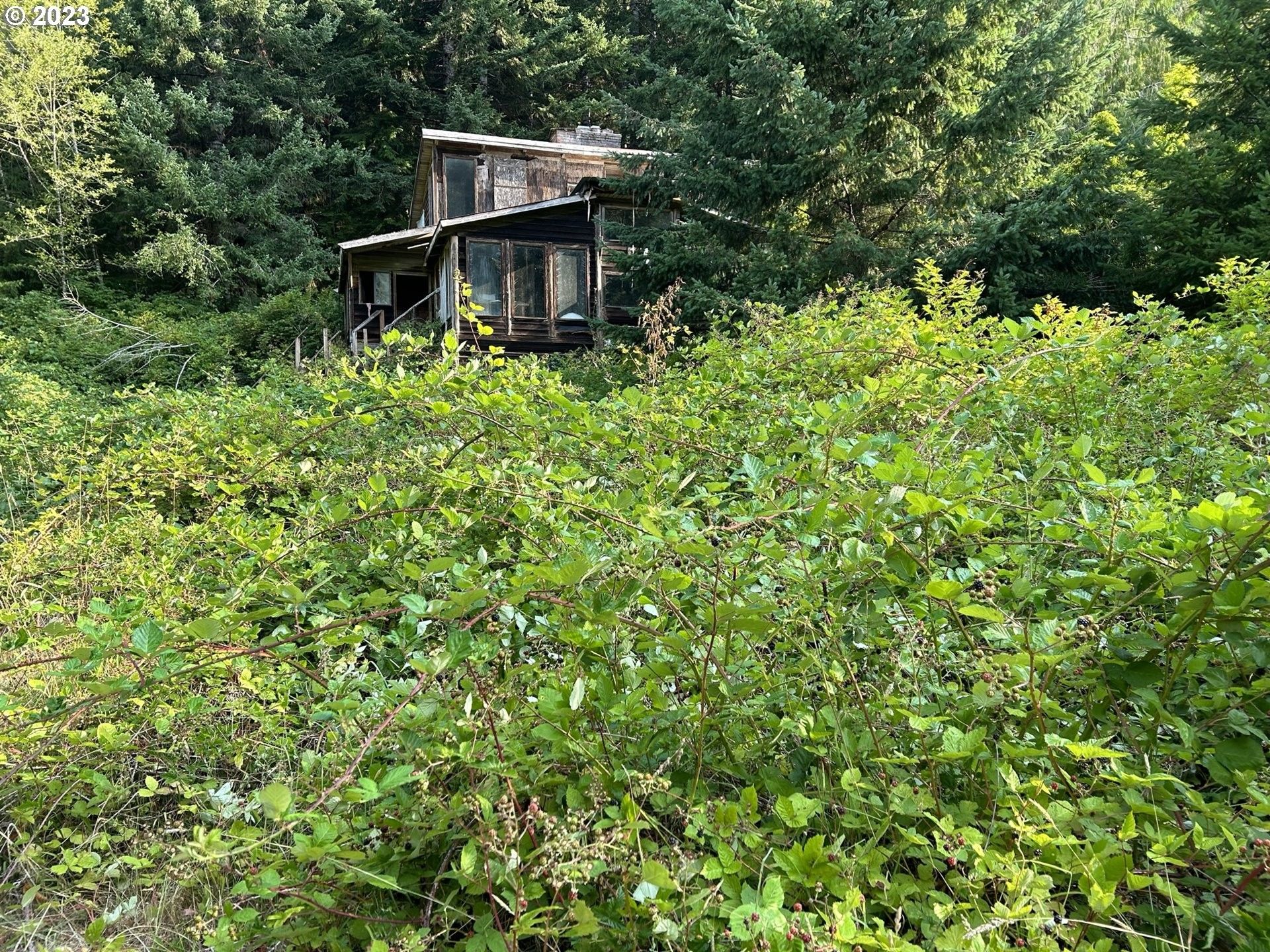 42.53 acres in Lane County, Oregon