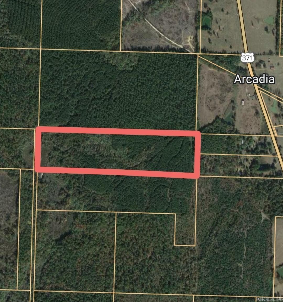 40 acres in Hempstead County, Arkansas