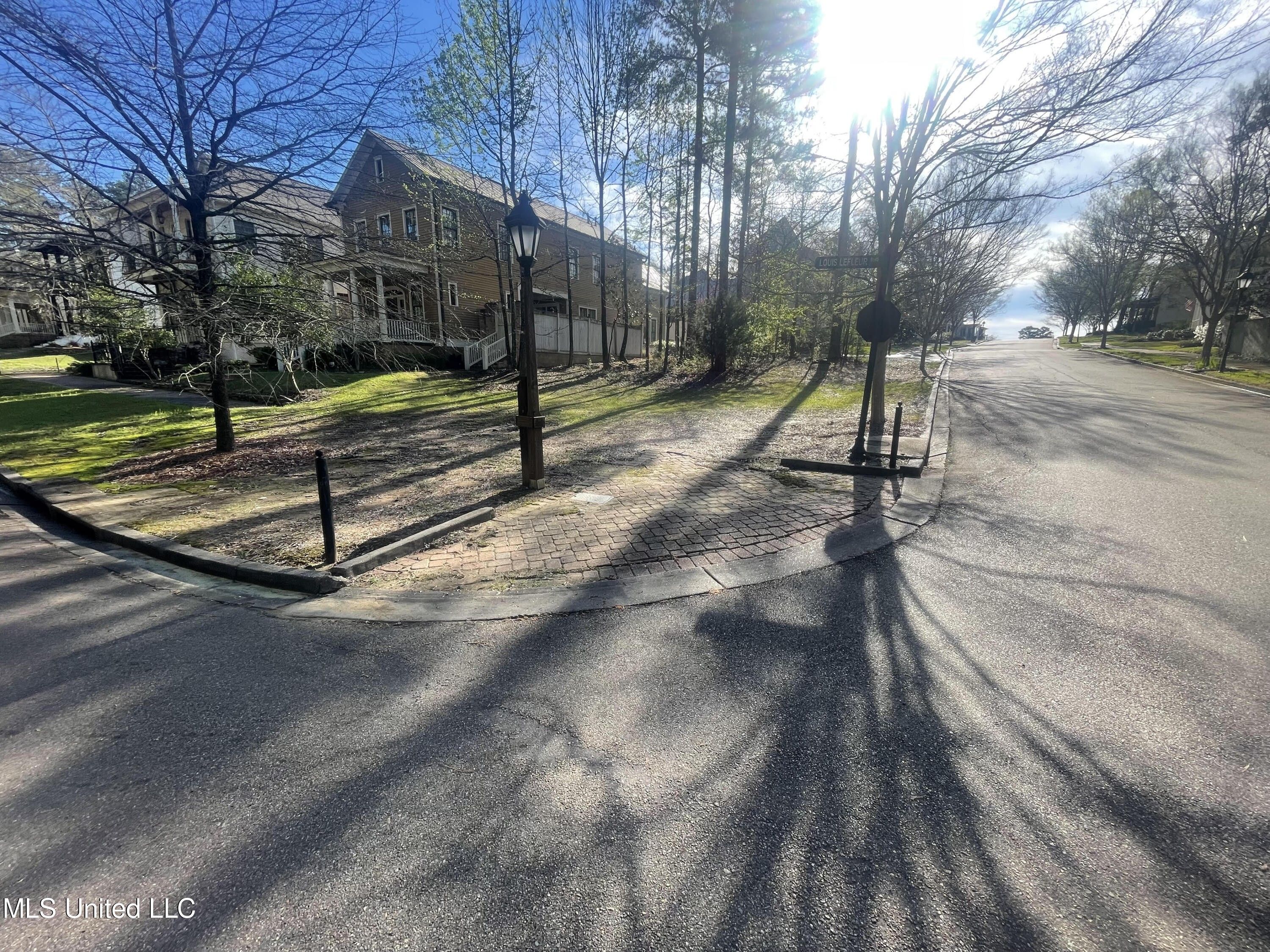 Louis Lefleur Boulevard, Madison, MS 39110 MLS 4060408
