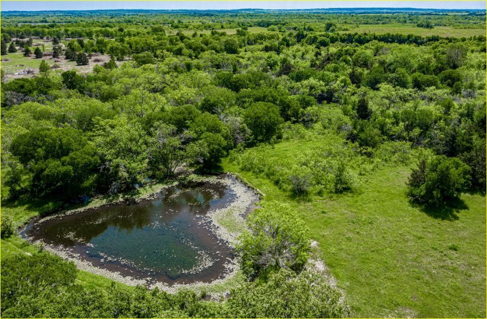 65 acres in Dawson, TX, 76639