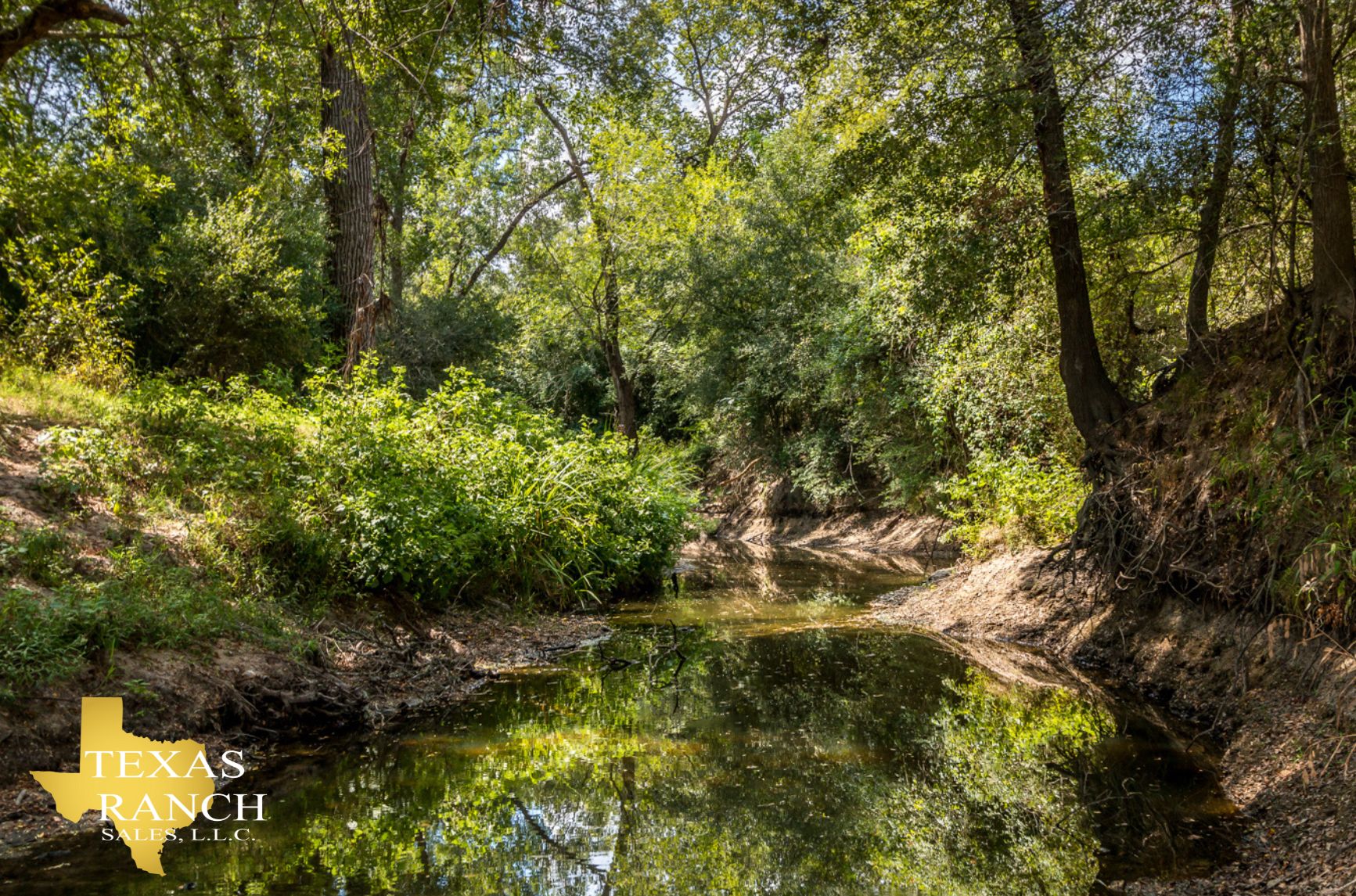 140 acres in Giddings, TX, 78942