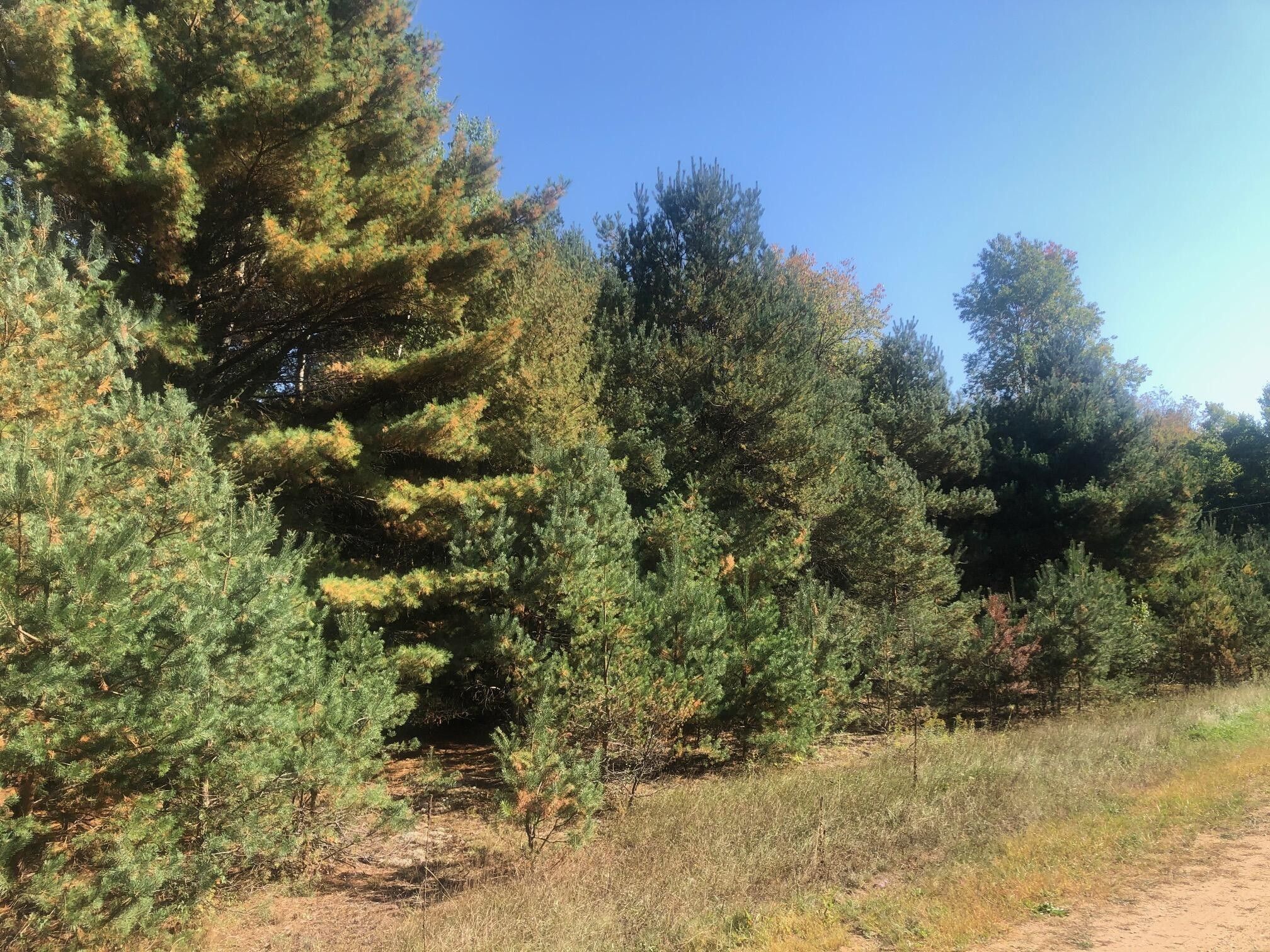 2 acres in Manistee County, Michigan