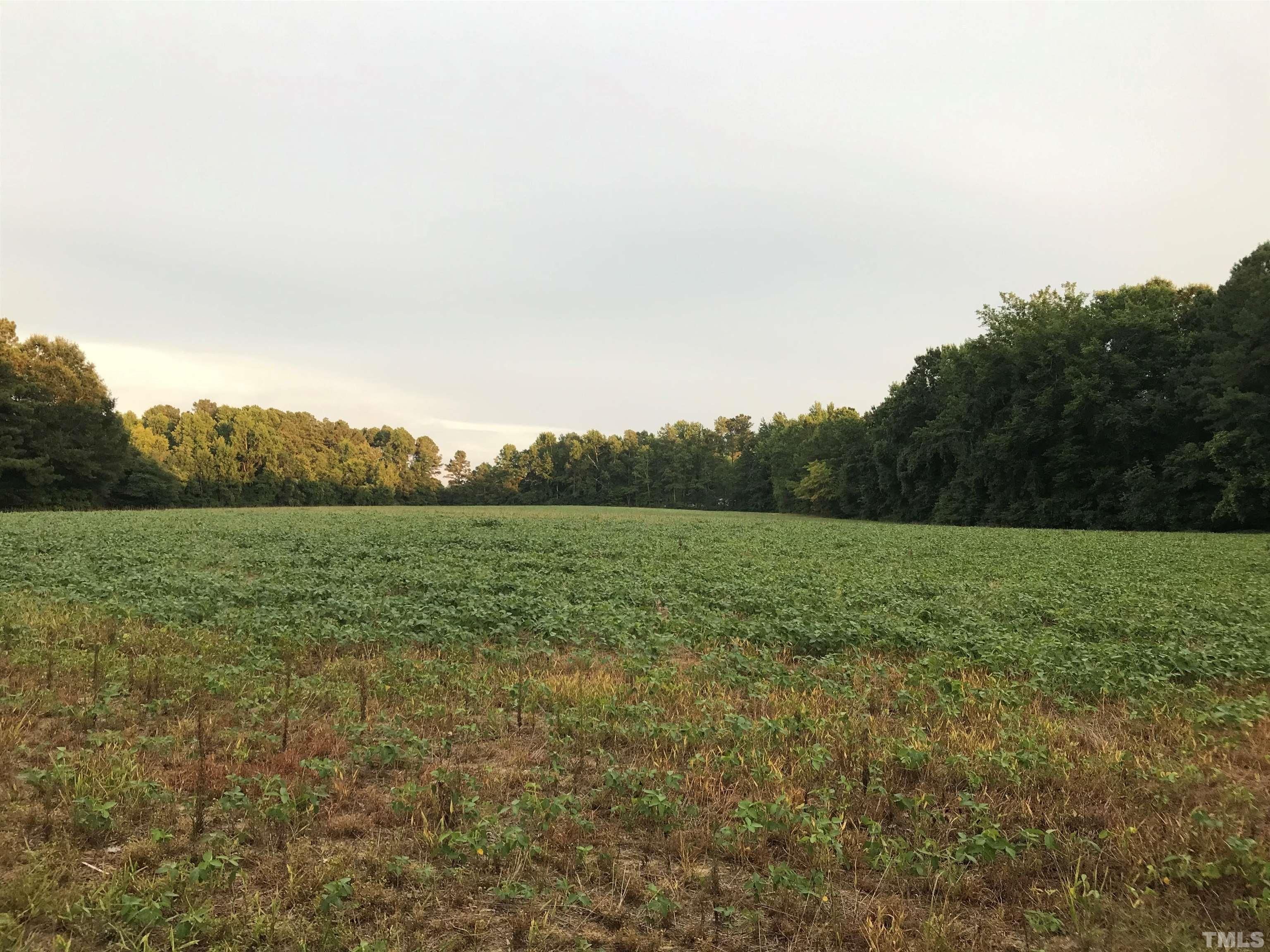 Farm Road, Wake Forest, NC 27587