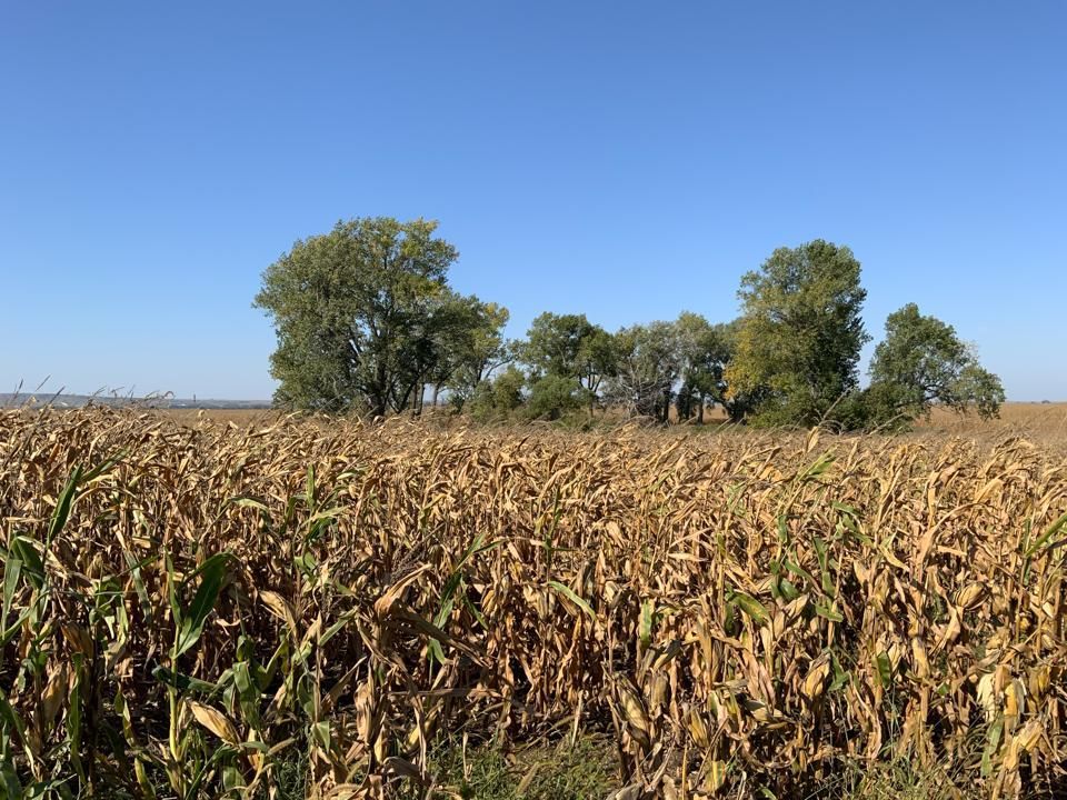 812.91 acres in Jerauld County, South Dakota