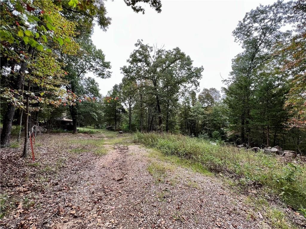 20 acres in Madison County, Arkansas