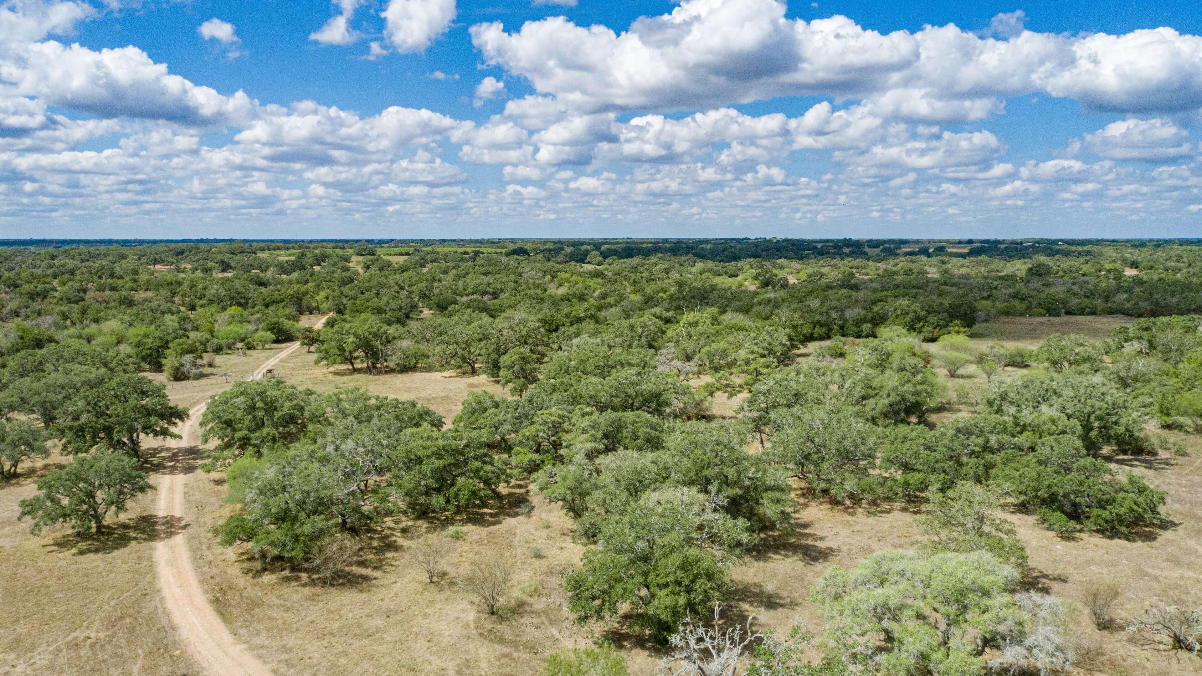 Green Dewitt Road, Cuero, TX 77954