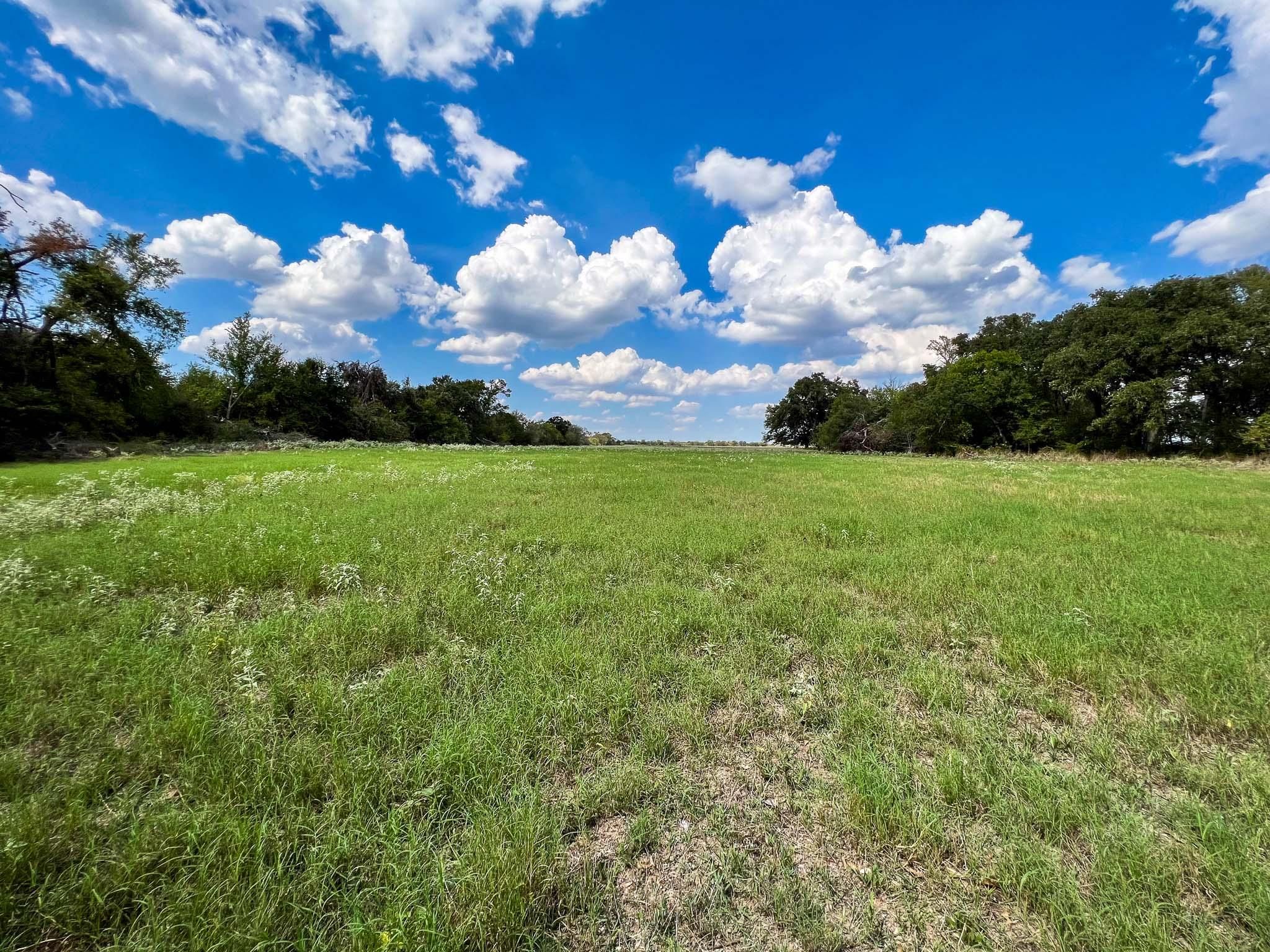 30 acres in Falls County, Texas