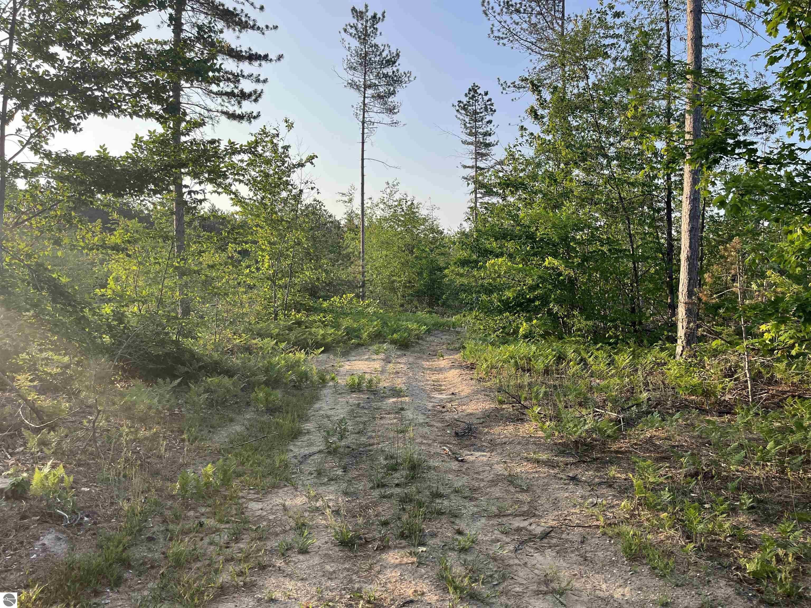 10.03 acres in Antrim County, Michigan