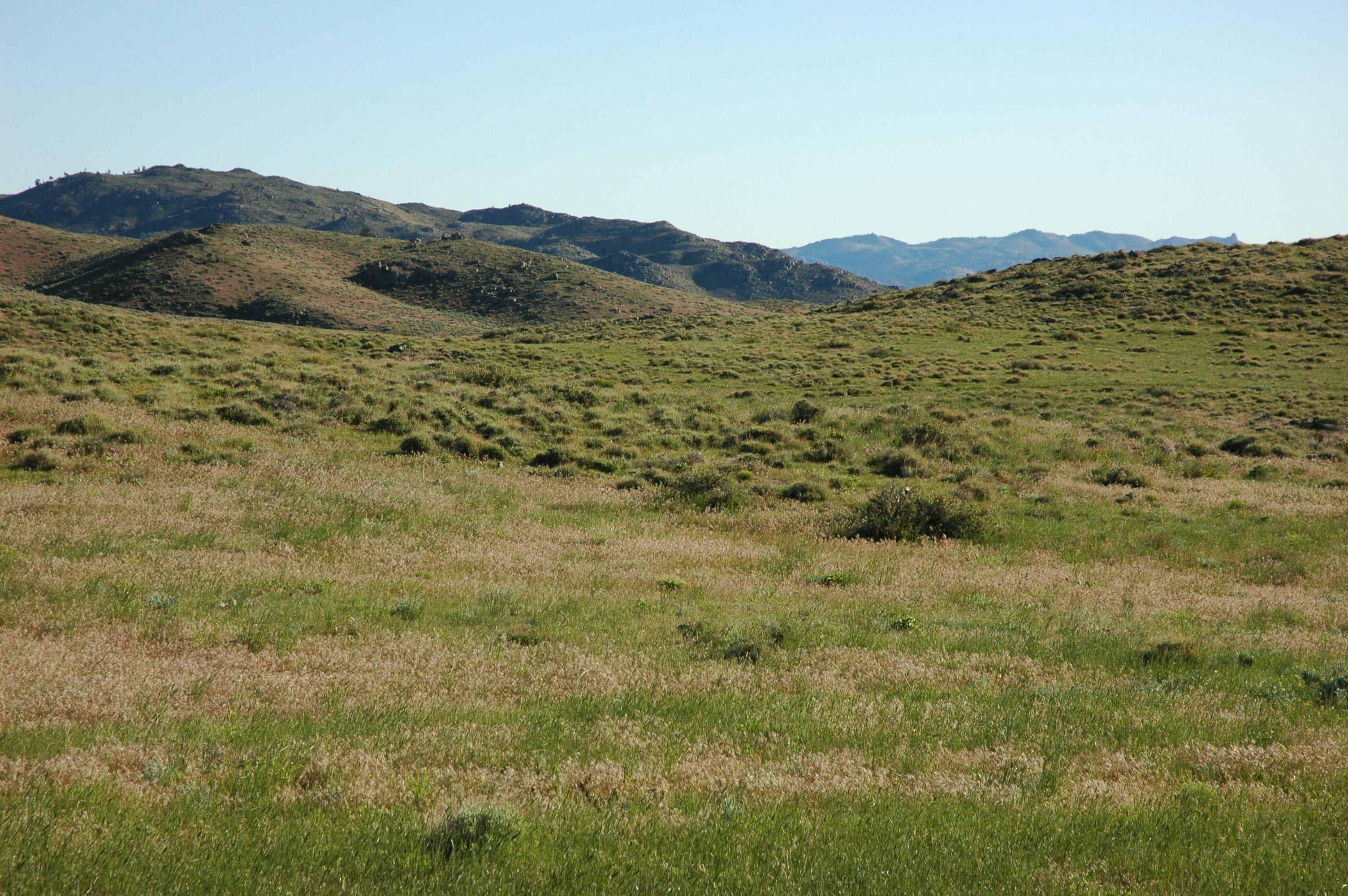 Ywbzillow Wyoming Land 84 - k26363s