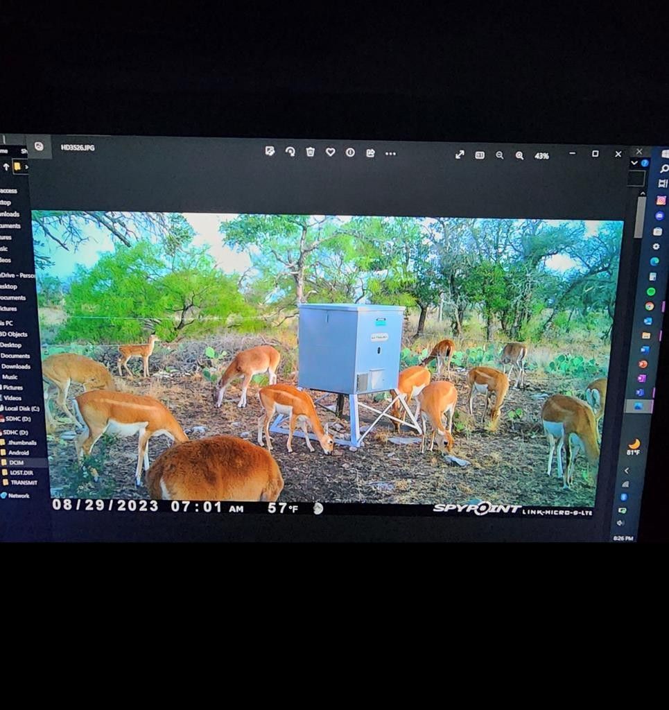 22.19 acres in Menard County, Texas