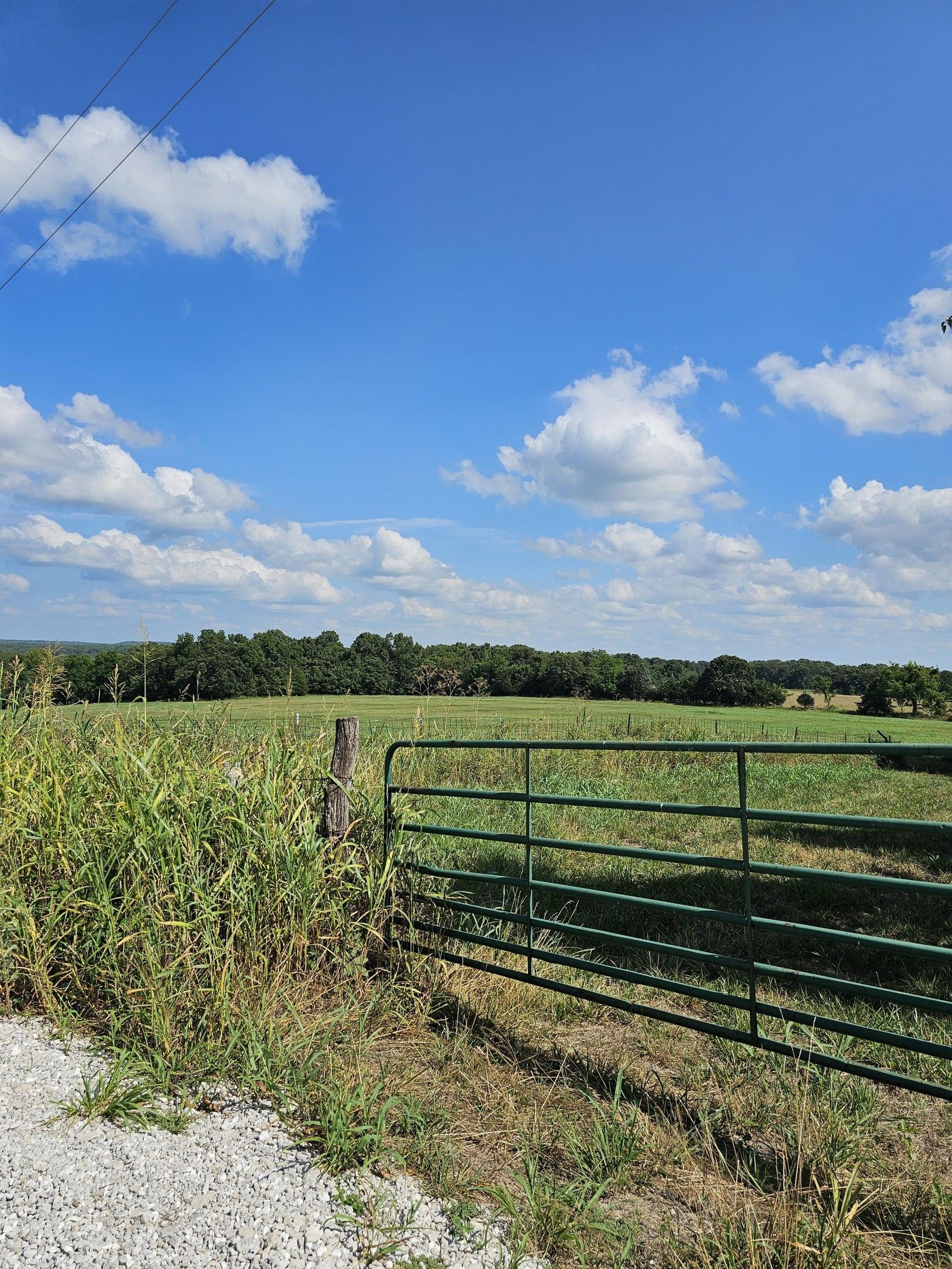 000 East 370 Road, Dunnegan, MO 65640 MLS 60247982