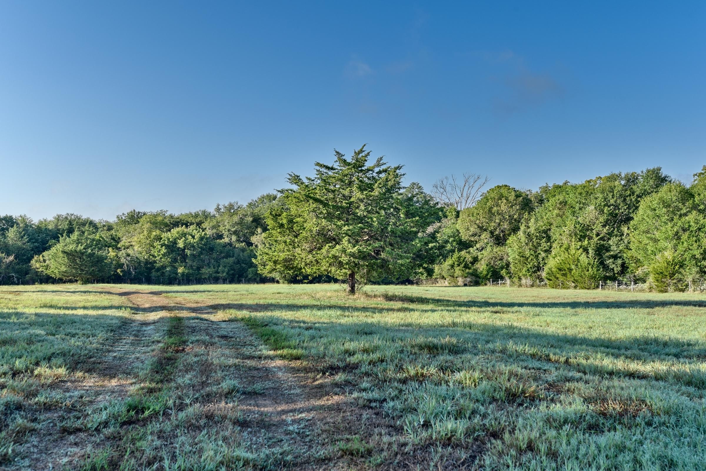 6454 Trackside Road, Chappell Hill, TX 77426