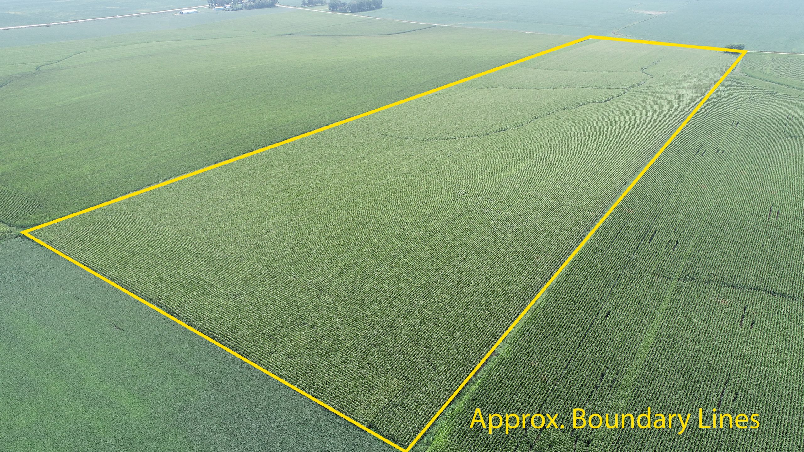 39.41 acres in Sioux County, Iowa