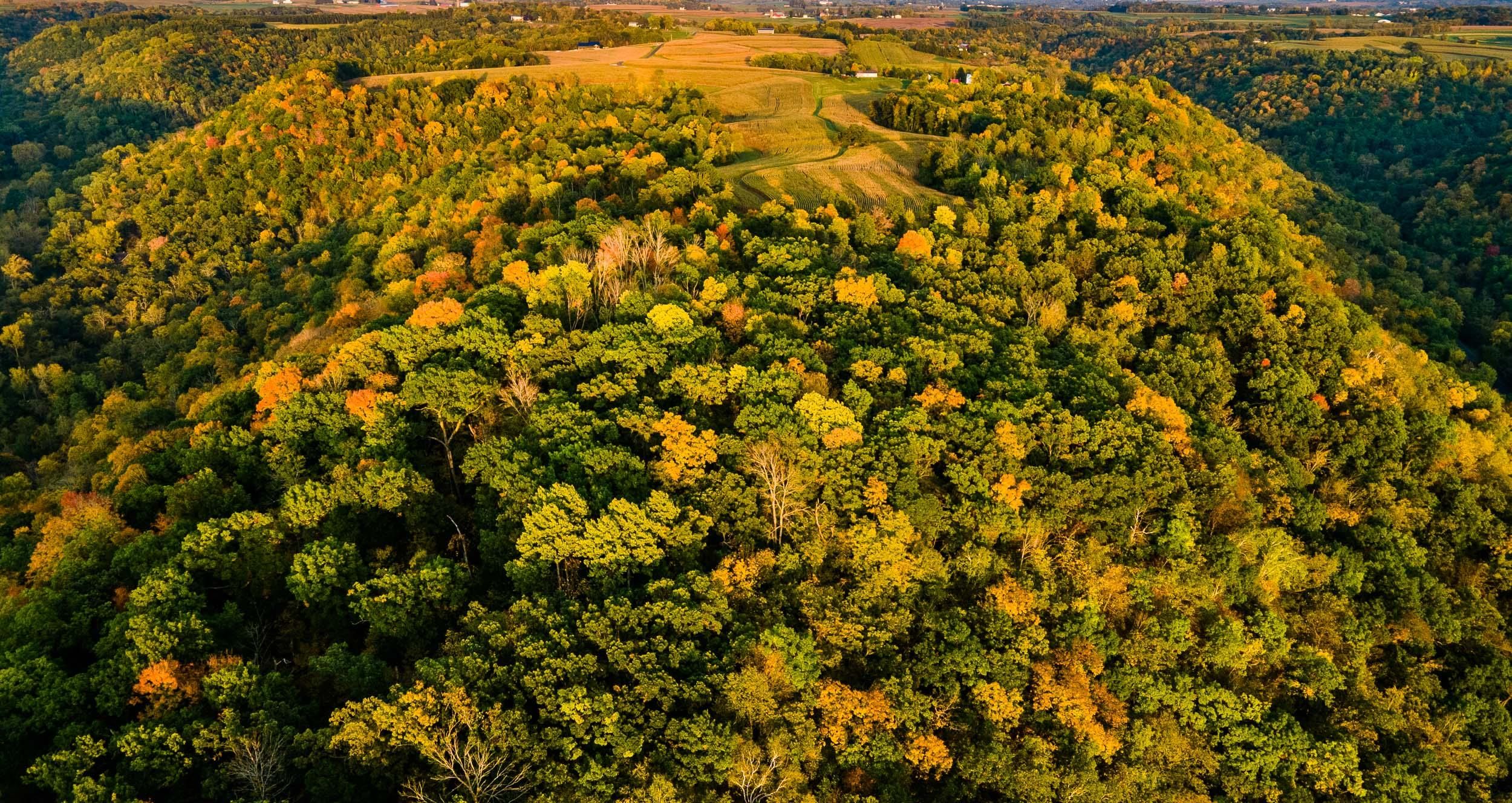 40 acres in Vernon County, Wisconsin