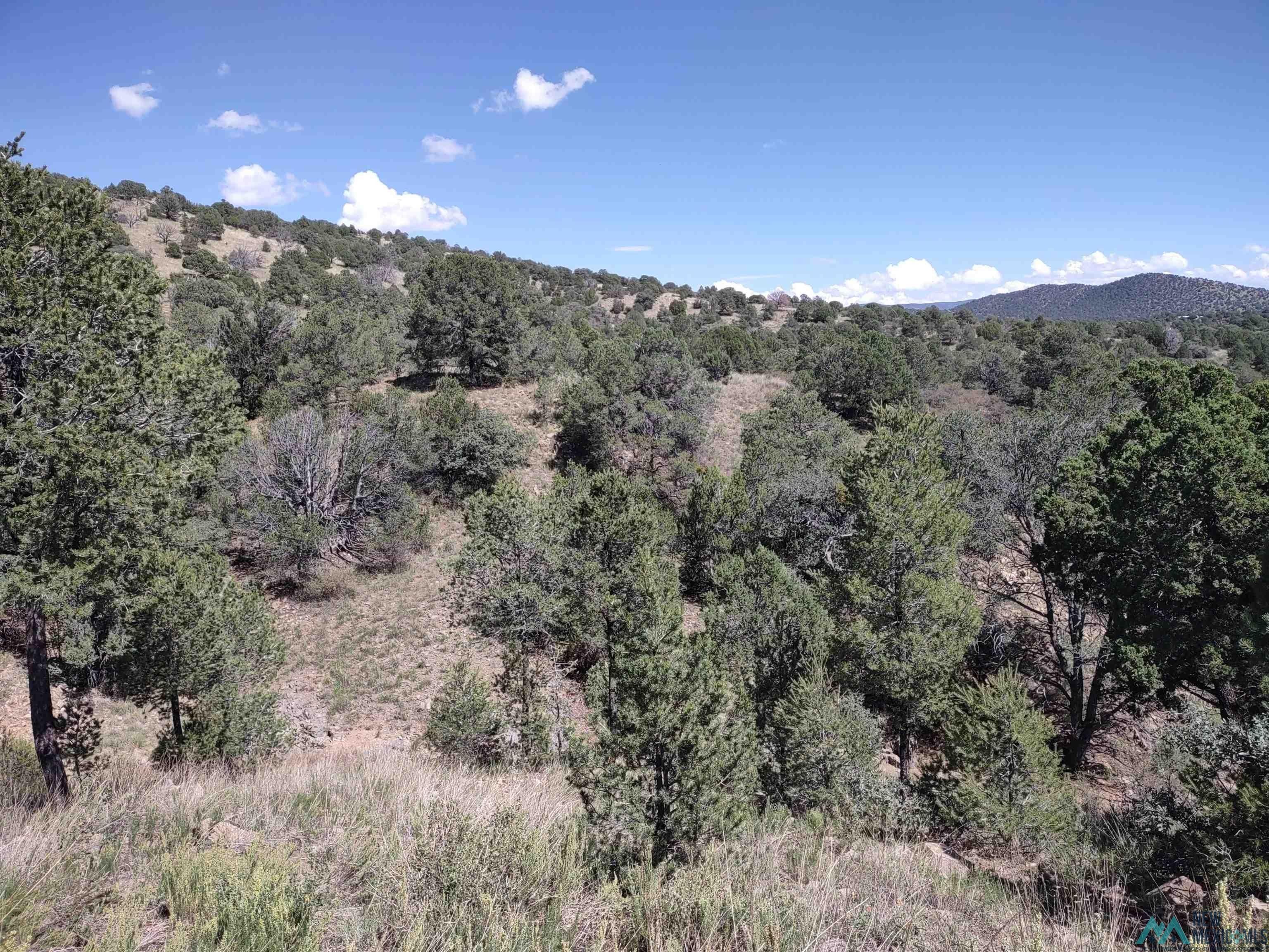 Grant County New Mexico Obituaries - g90jw6i