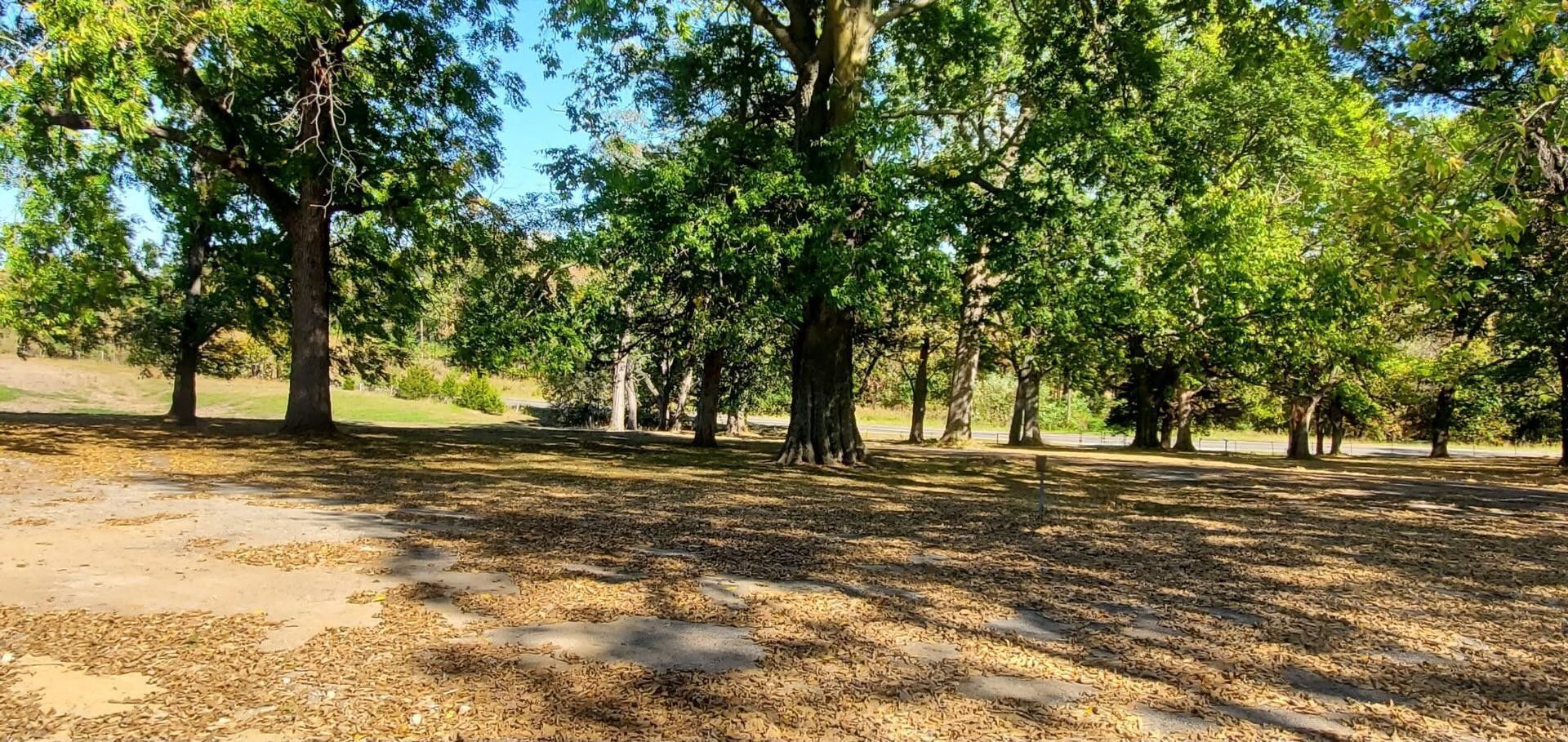 80 acres in Howard County, Missouri