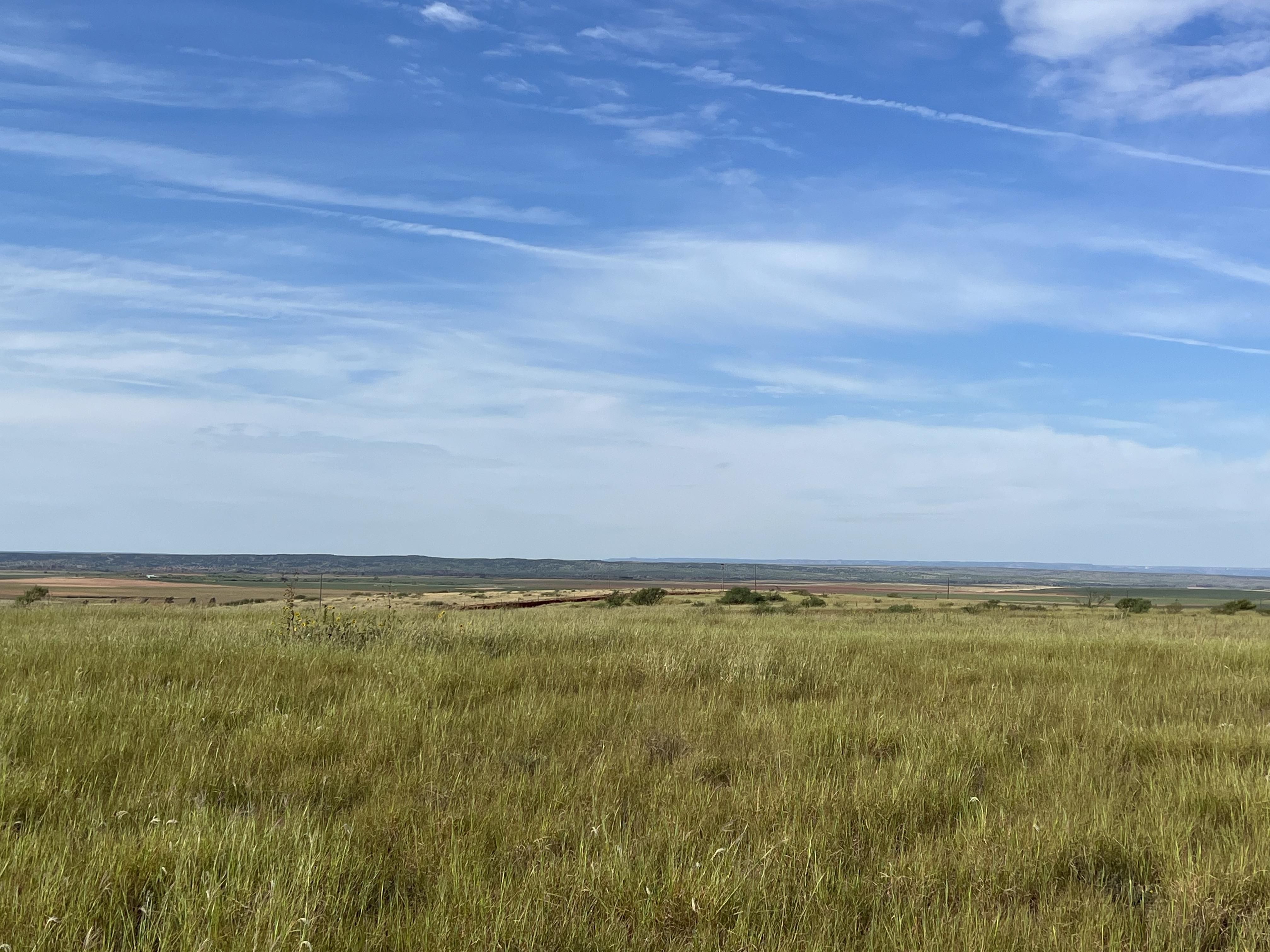 160 acres in Hall County, Texas