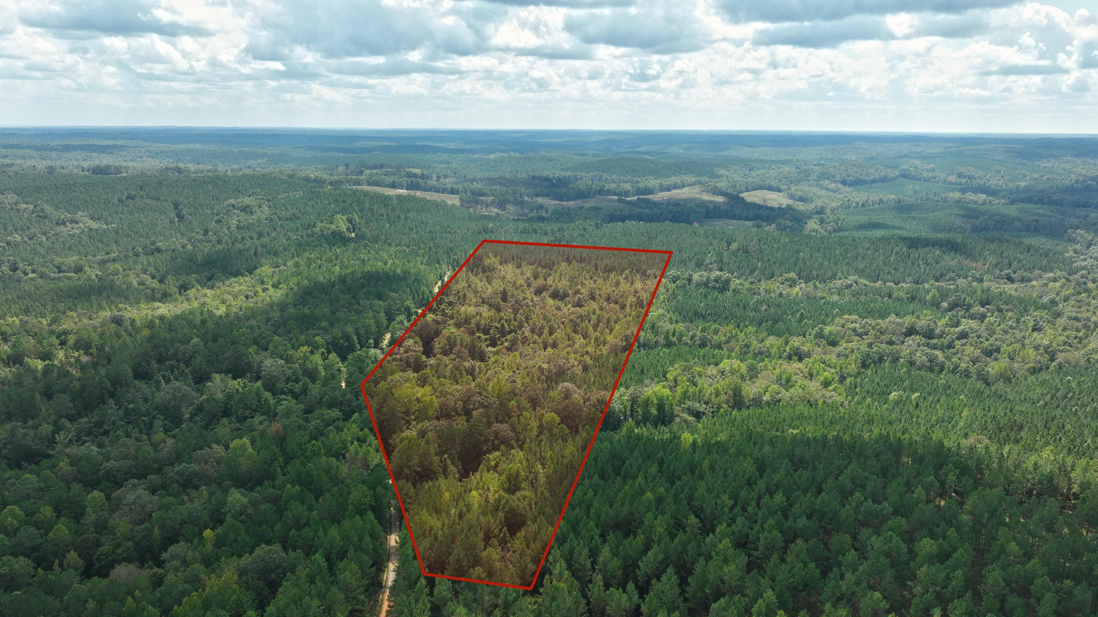 16 acres in Coosa County, Alabama