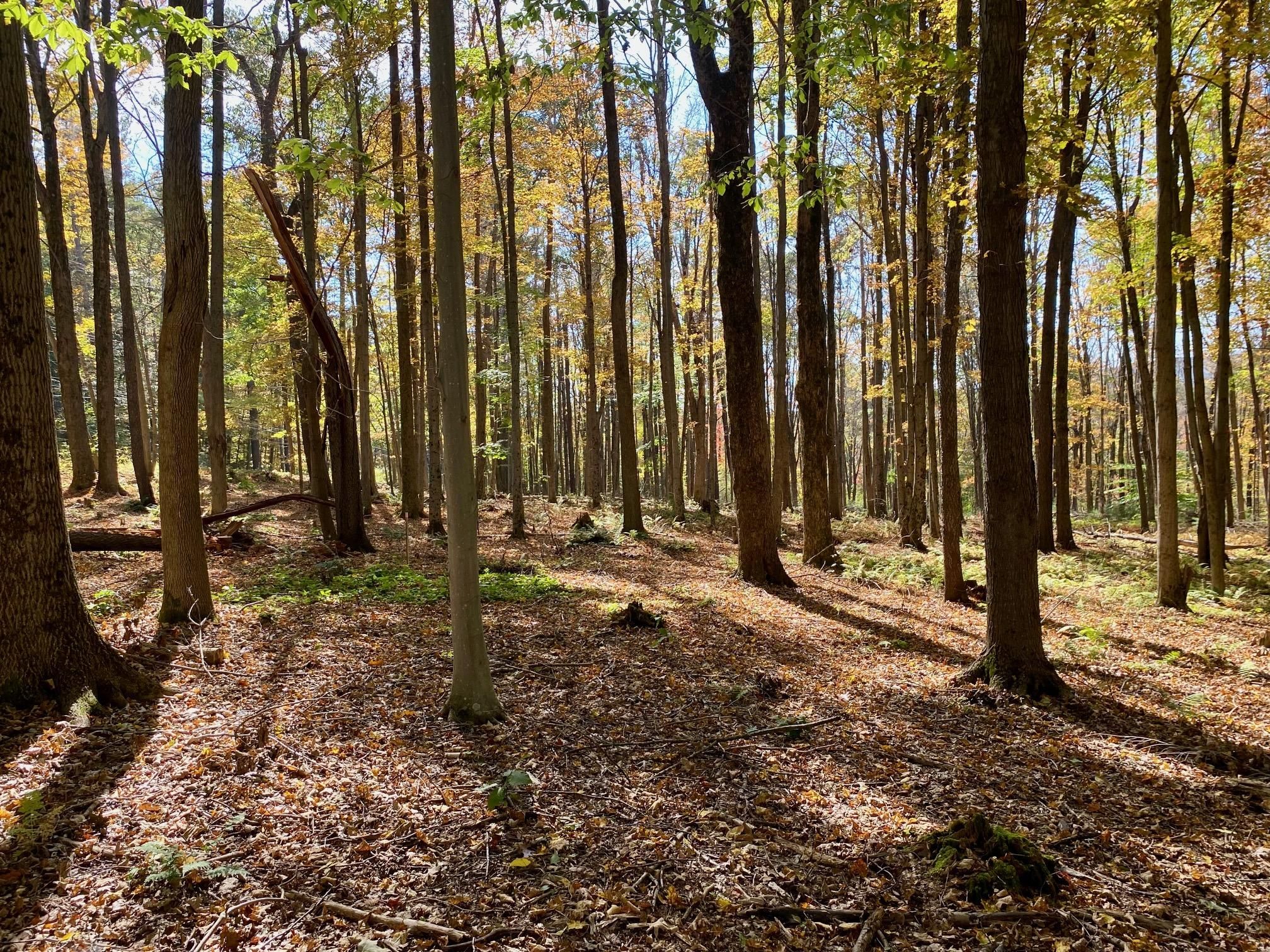 1 acres in Berkshire County, Massachusetts