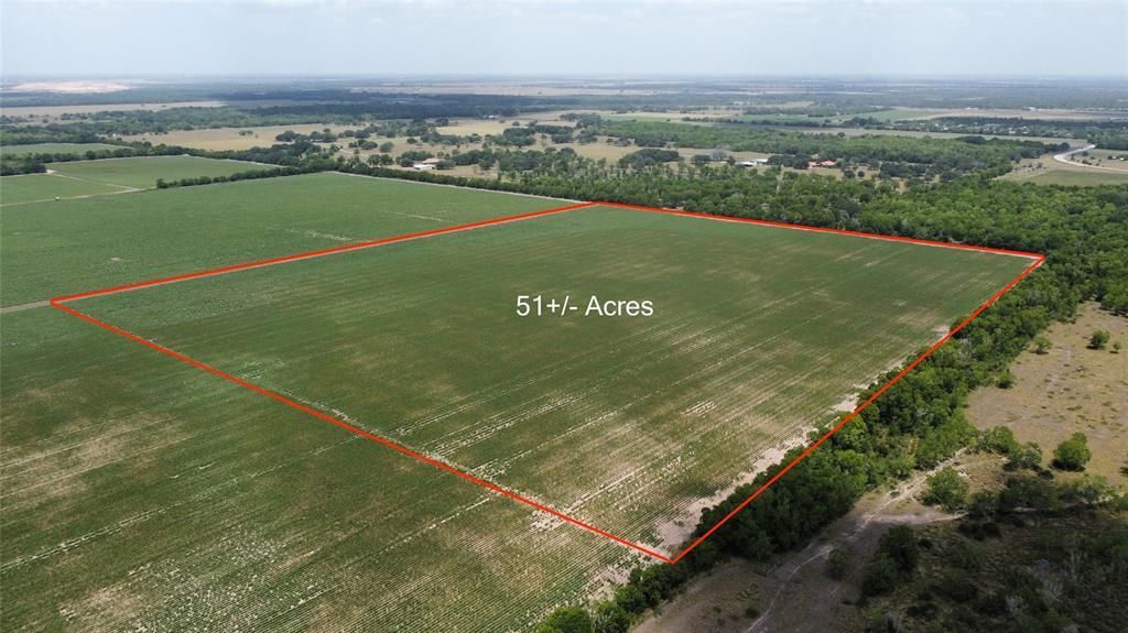 0 Beard Road, Needville, TX 77461 MLS 42999350