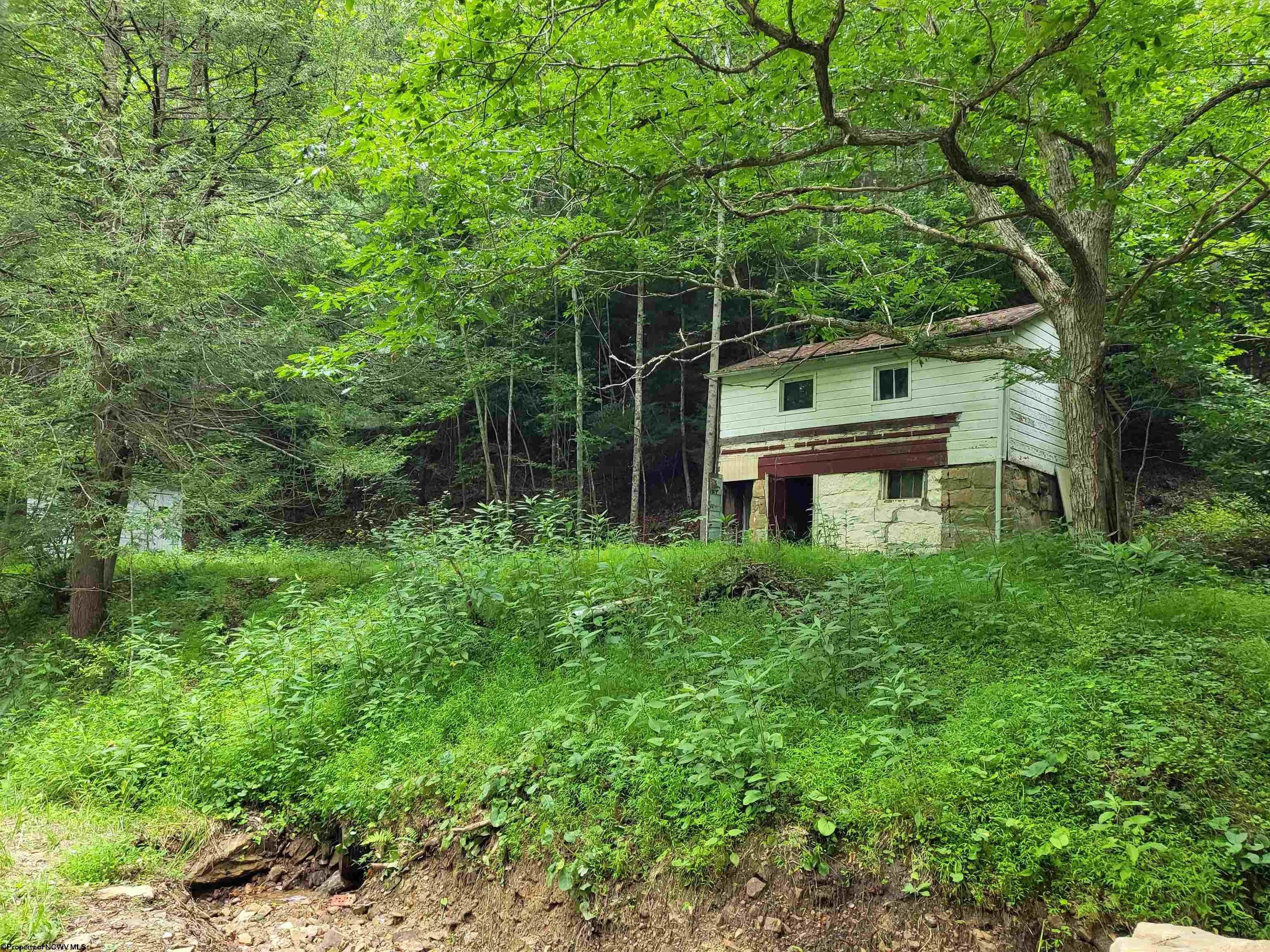 Recent Death In Braxton County Wv 37 - ffjtarc