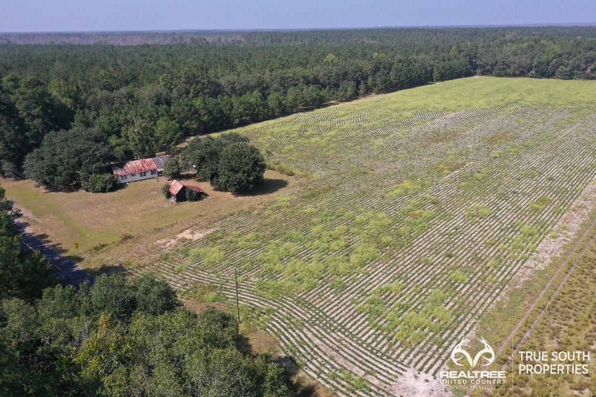 1812 Mullings Ford Rd, Brunson, SC 29911