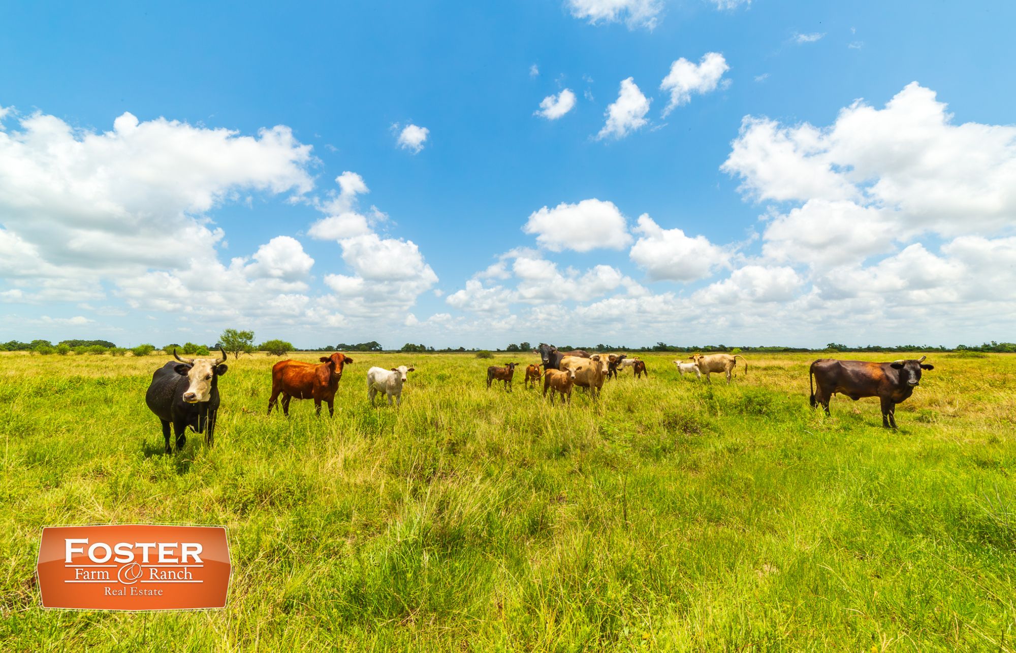 150 acres in Palacios, TX, 77465