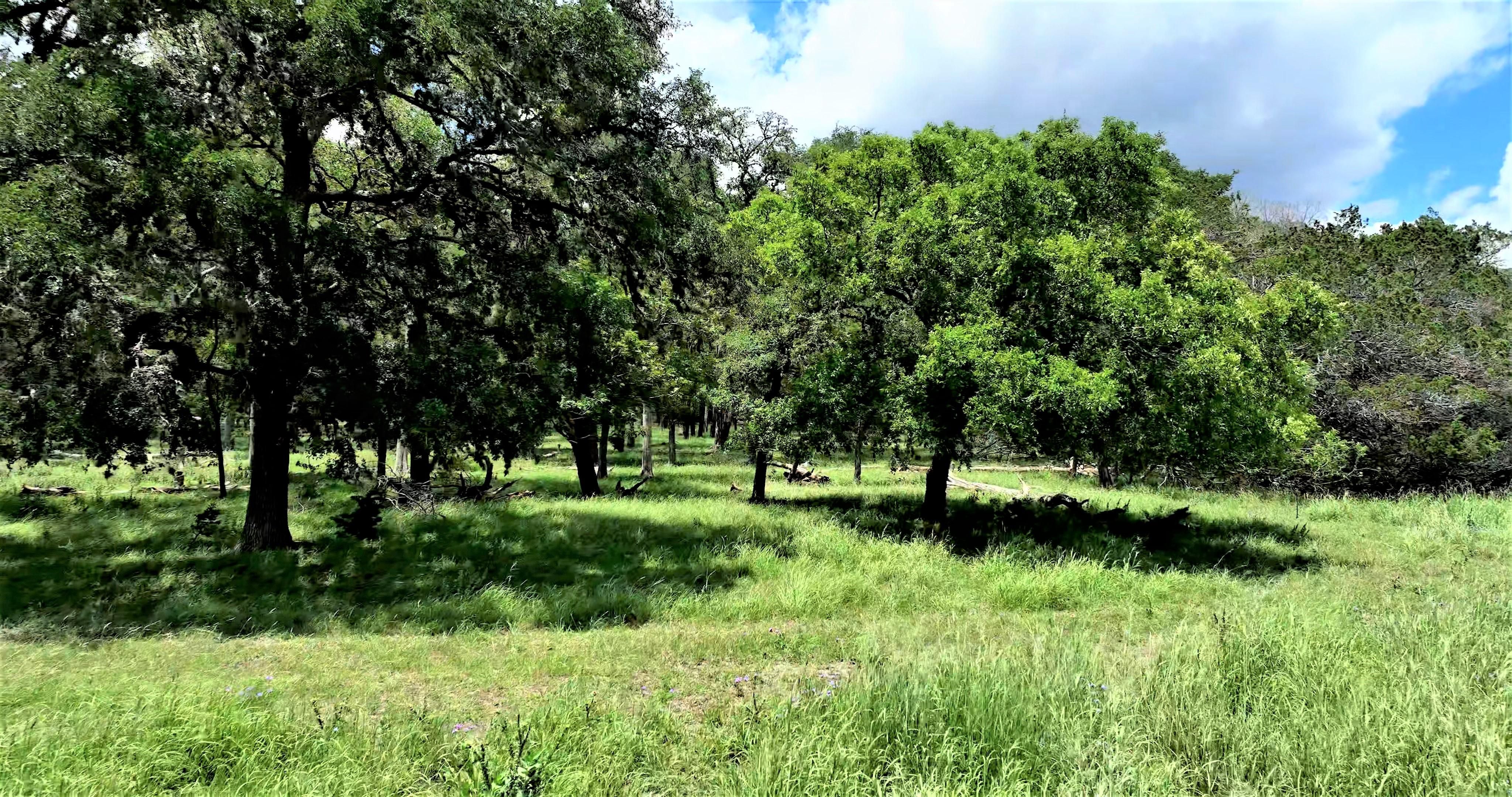 40 Acres For Sale In Texas - umdcwyz