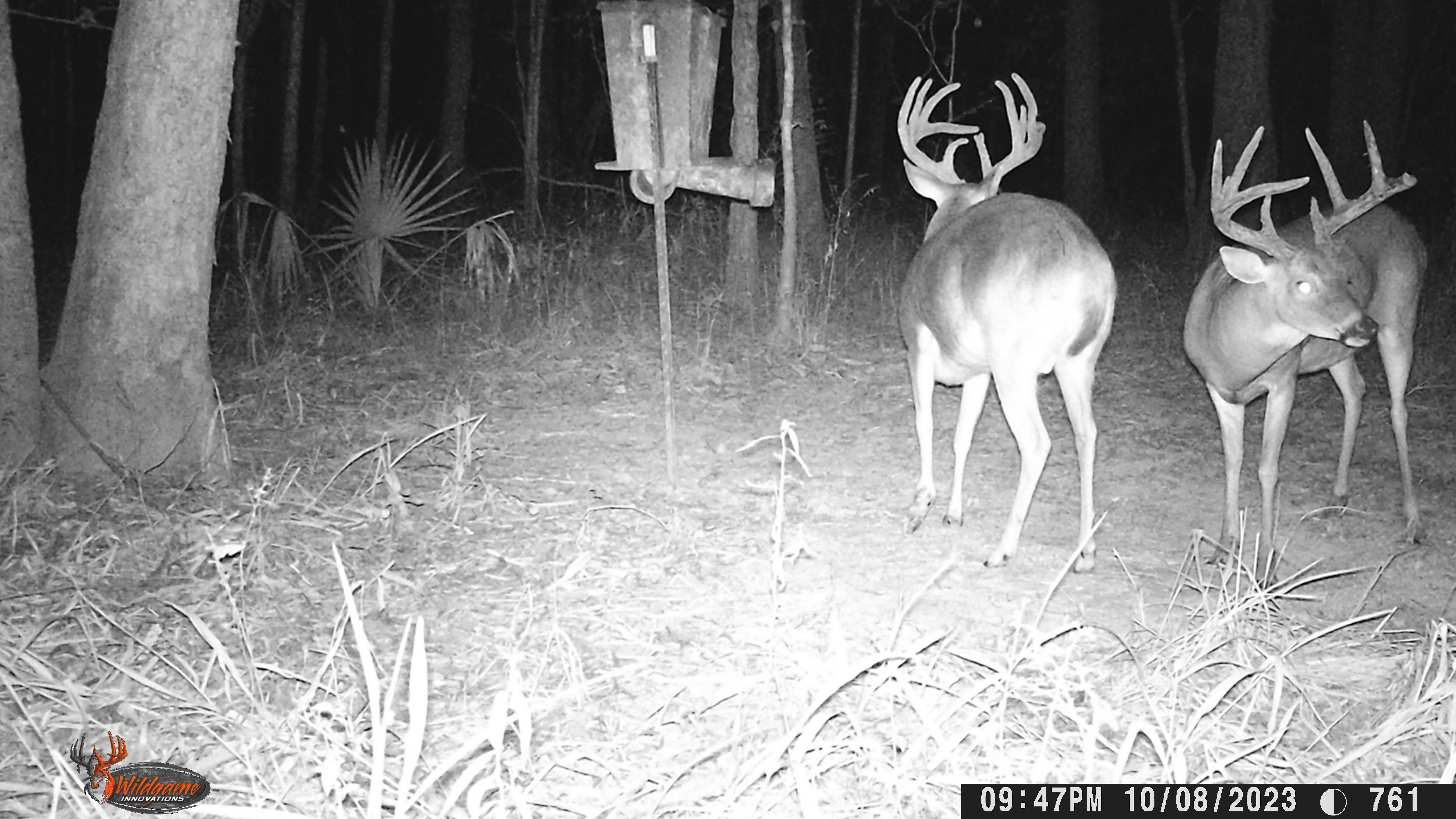 36 acres in Avoyelles Parish, Louisiana