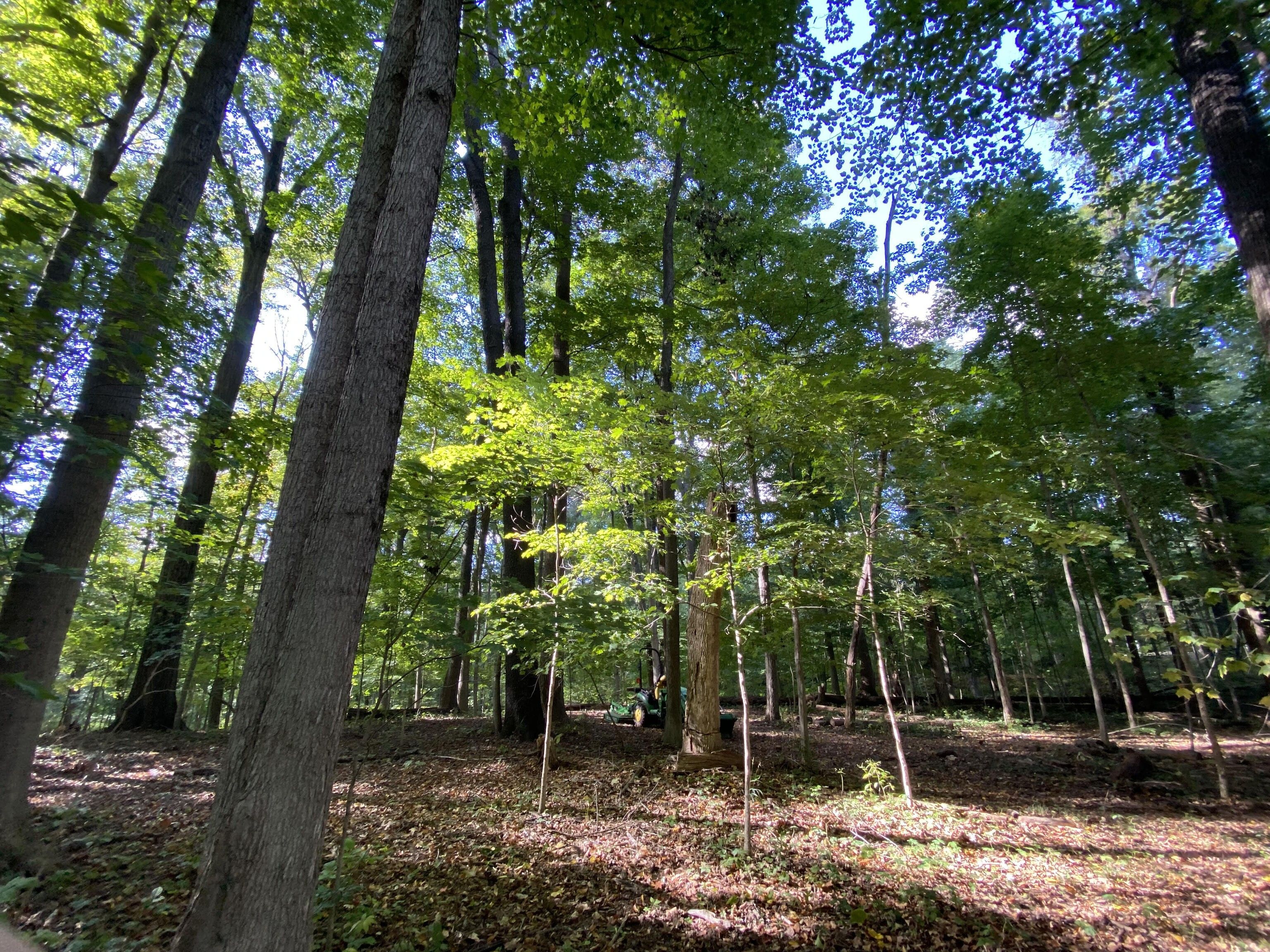 3.61 acres in Hendricks County, Indiana