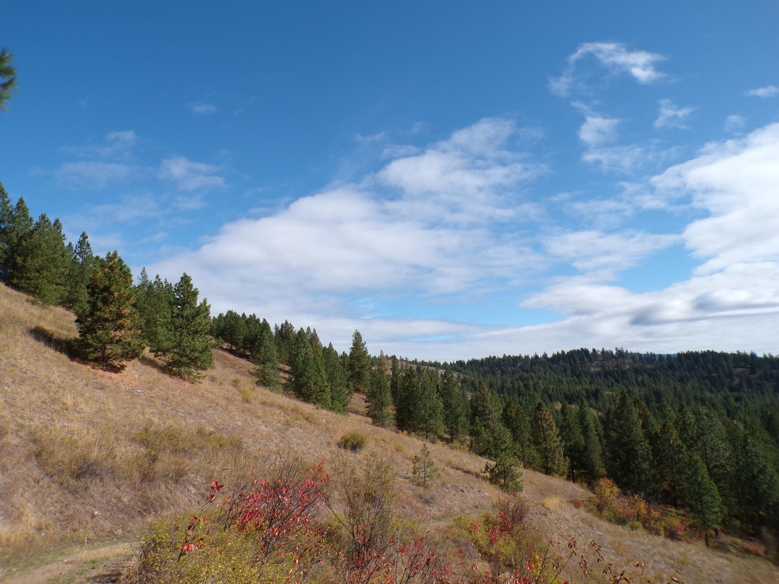 20 acres in Ferry County, Washington
