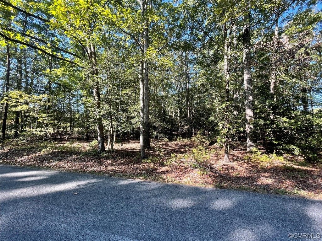 0 Mt. Pleasant, Providence VA 23140 MLS 2324757