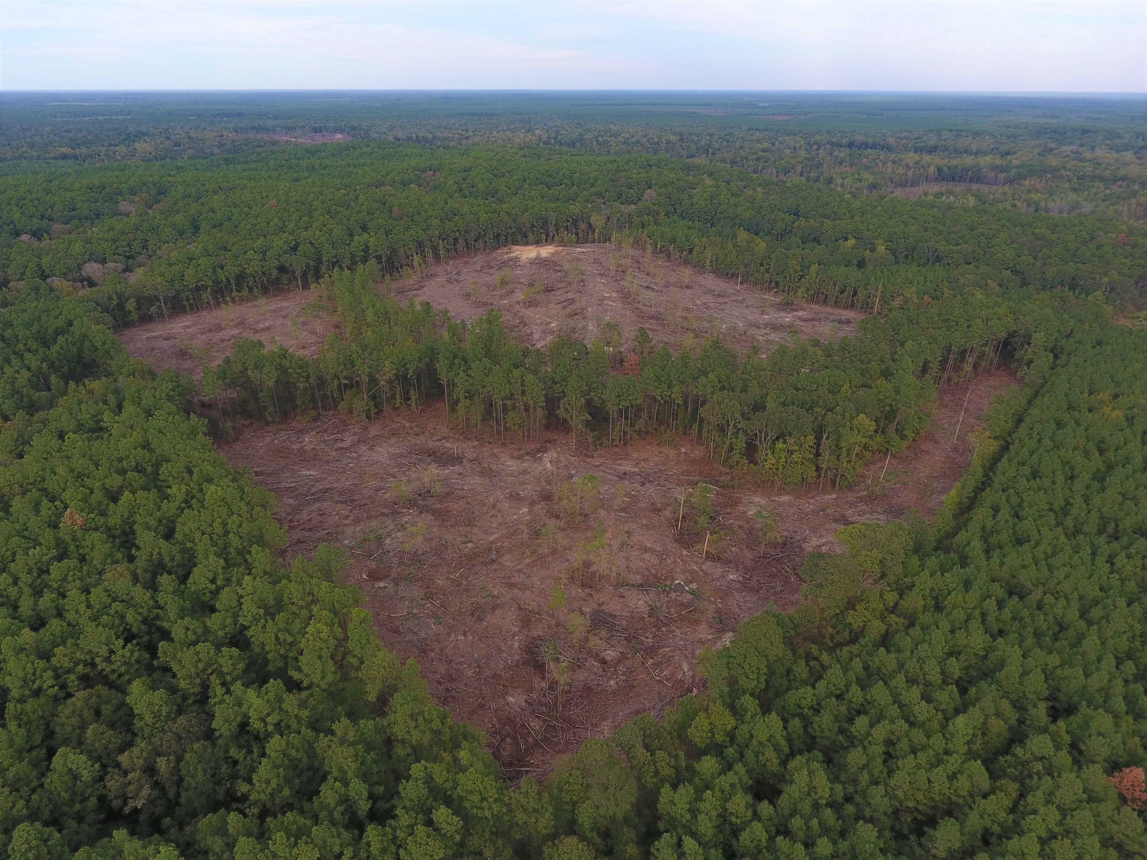 40 acres in Winn Parish, Louisiana