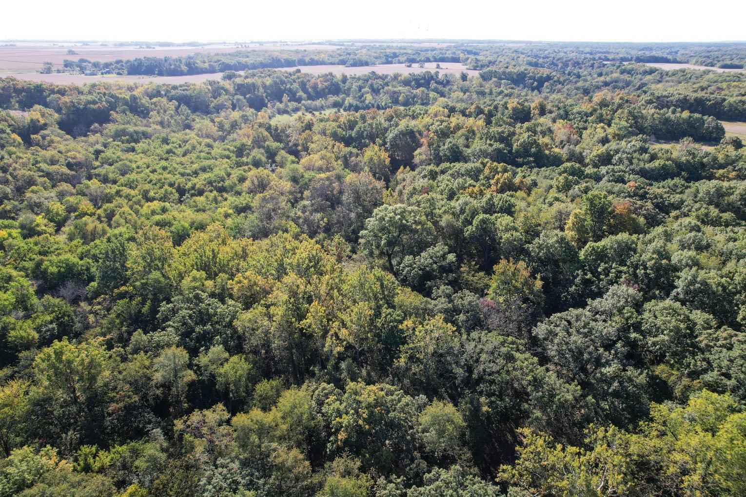 36 acres in Bureau County, Illinois