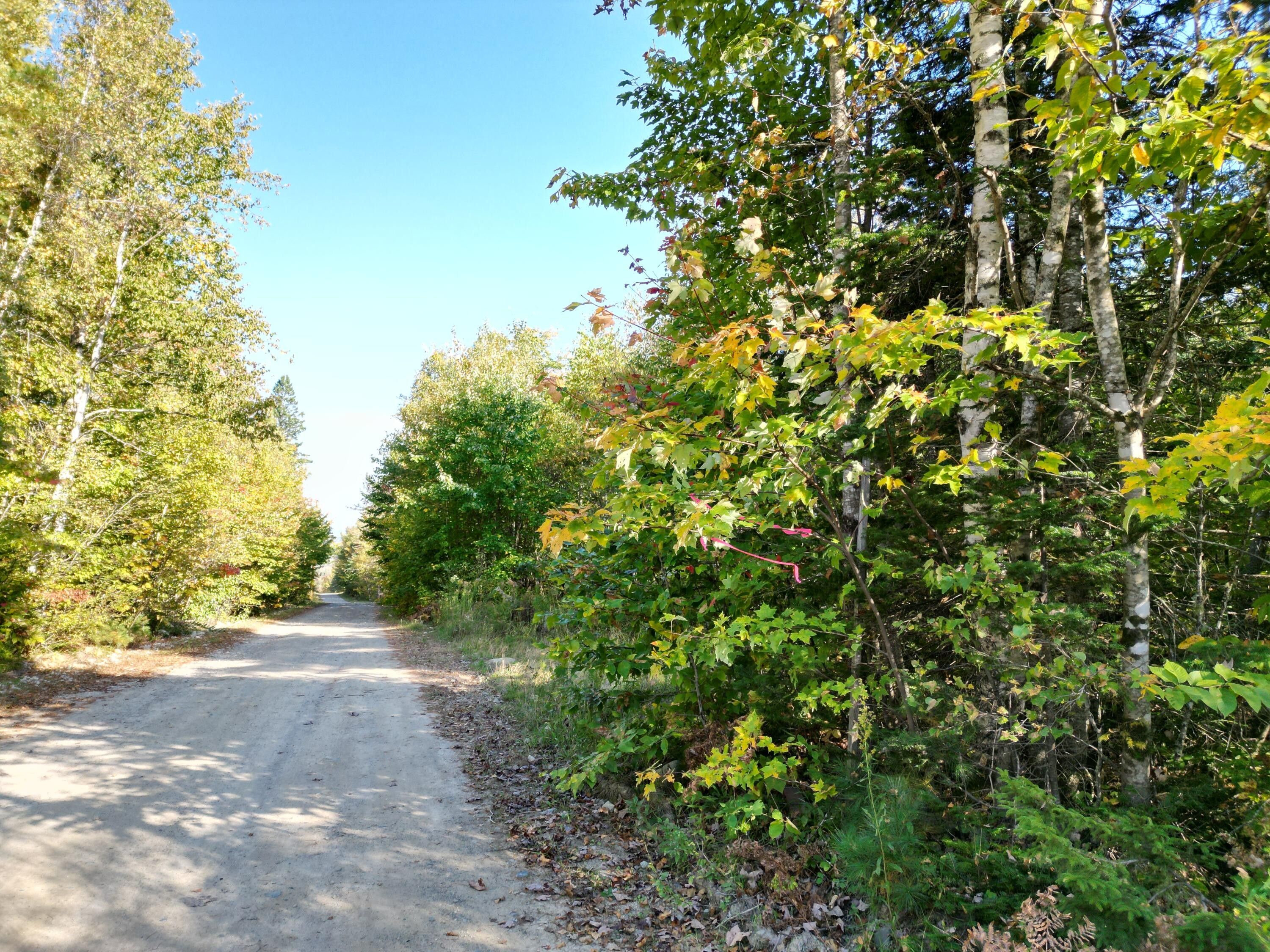 7.8 acres in Penobscot County, Maine