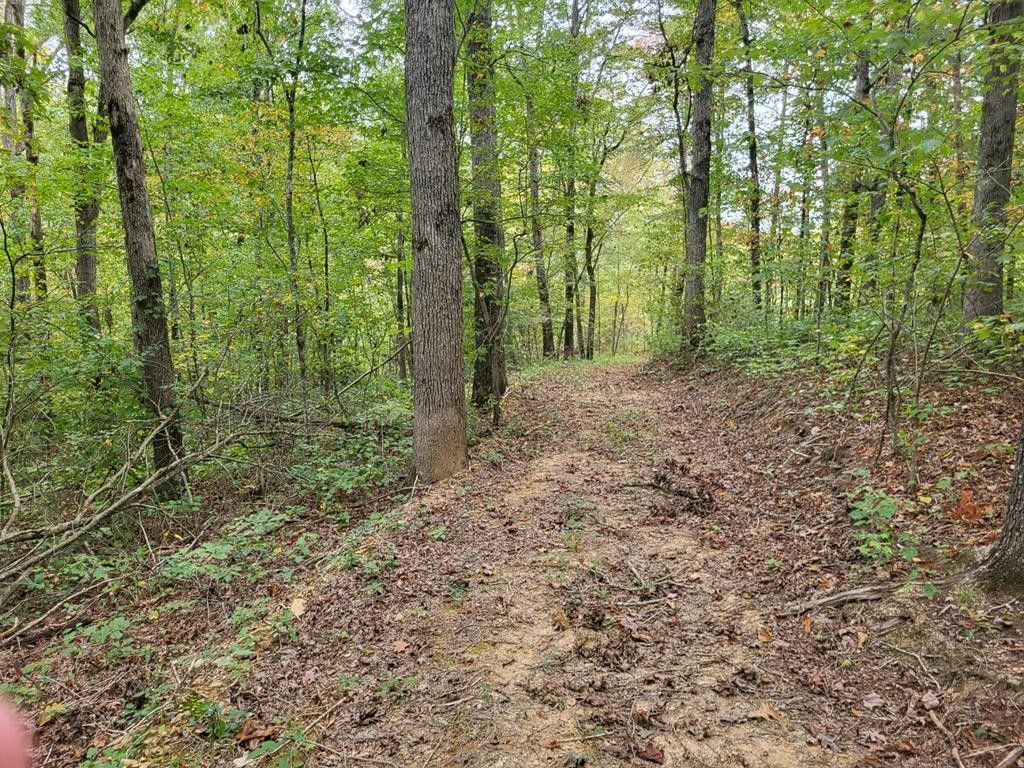 10 acres in Cumberland County, Tennessee