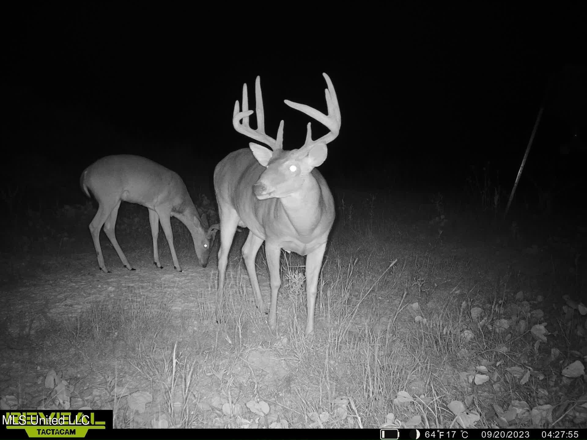 118 acres in Holmes County, Mississippi