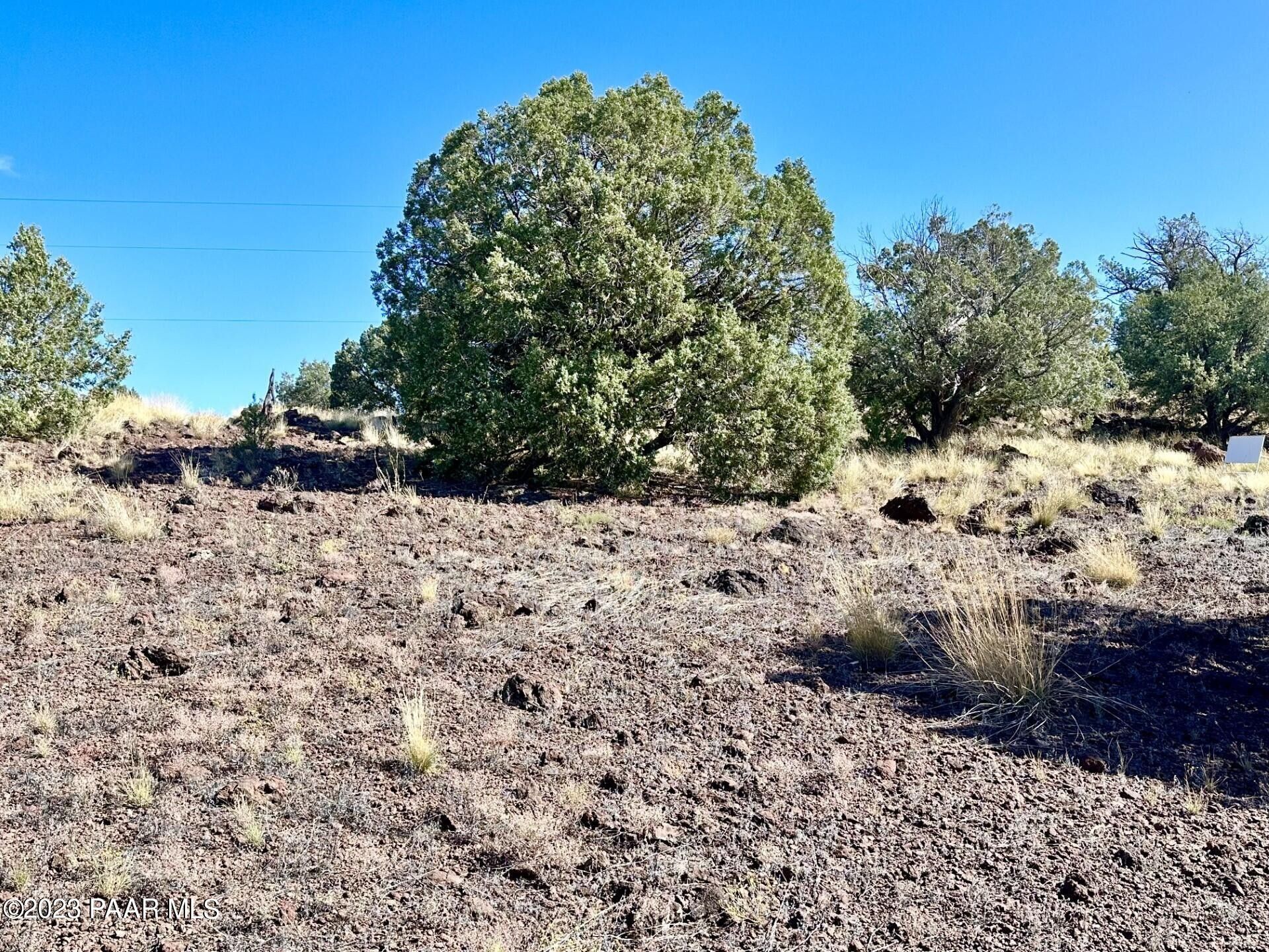 3.6 acres in Coconino County, Arizona