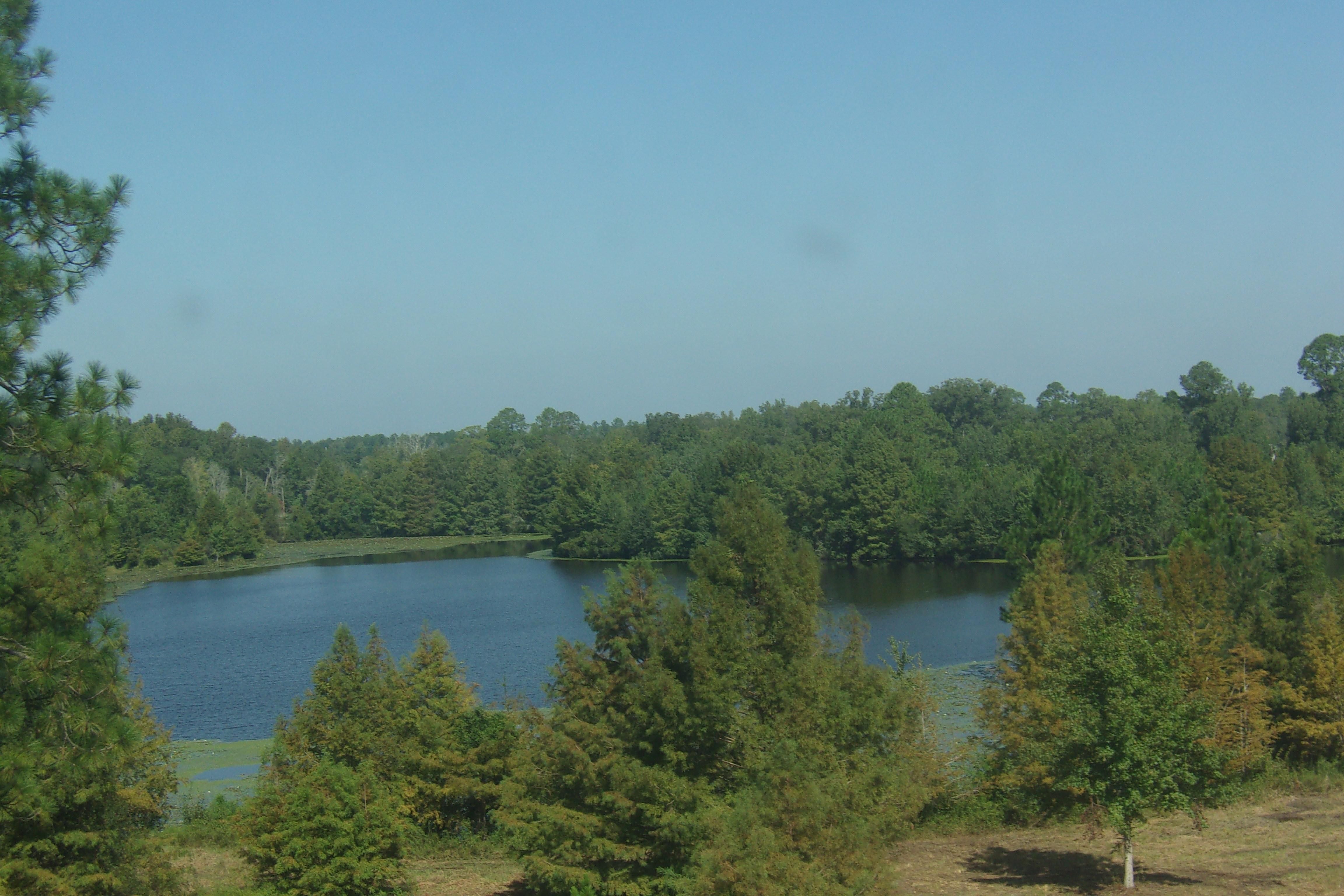 992 GA30, Alamo, GA 30411