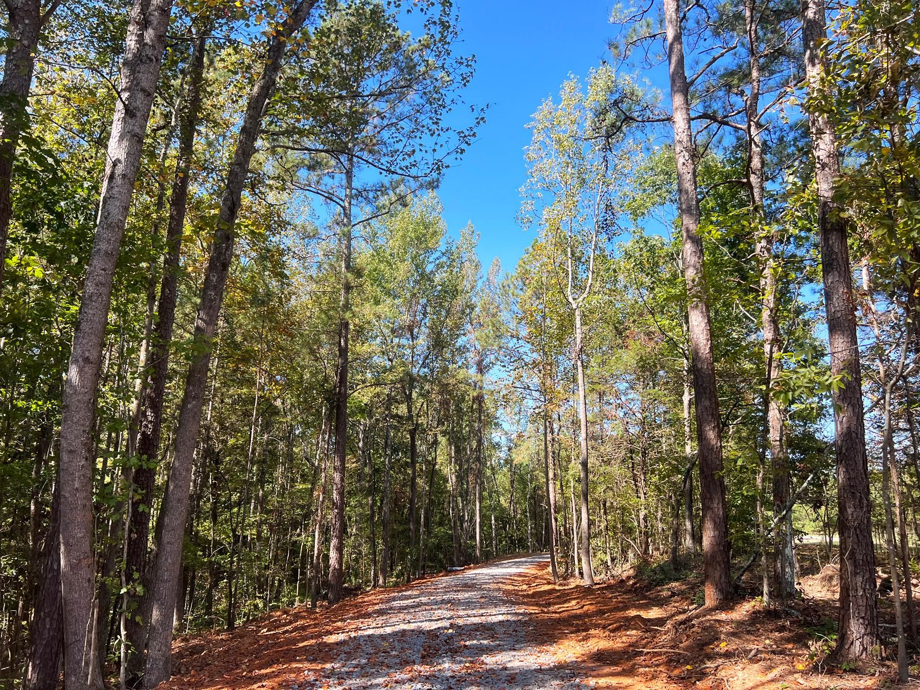 Bluff City Road, Somerville, AL 35670