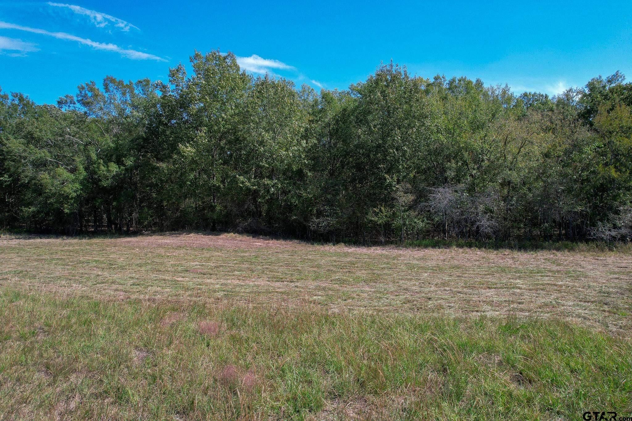 20 acres in Franklin County, Texas