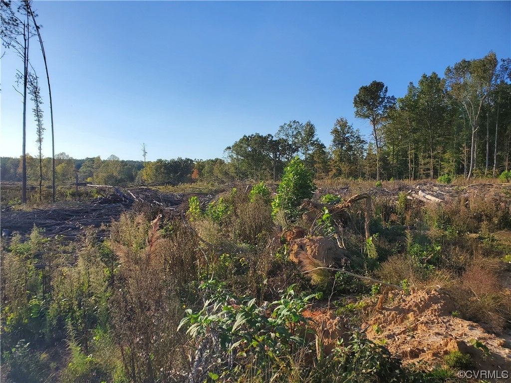 5 acres in Nottoway County, Virginia